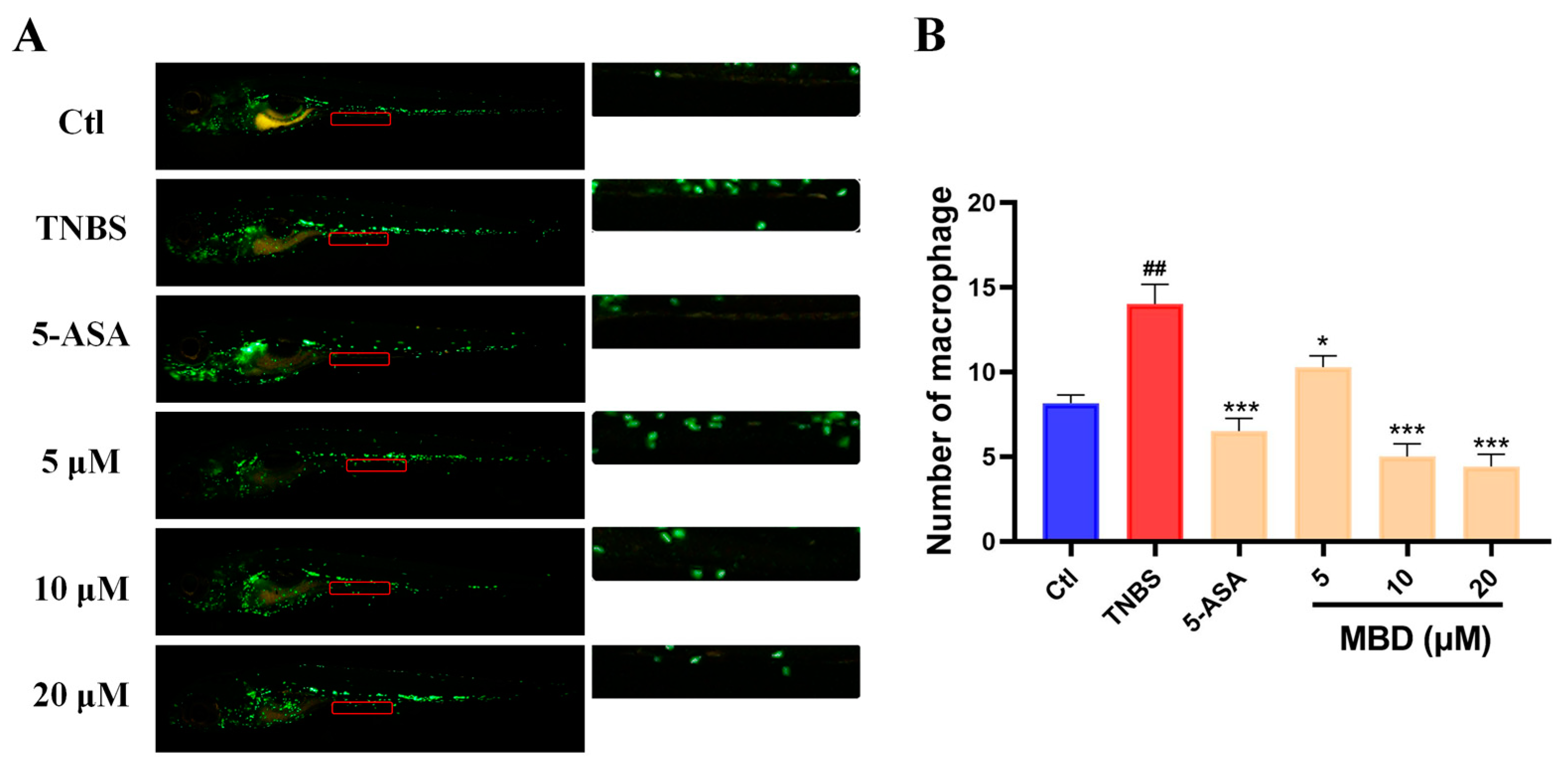 Marinedrugs 23 00047 g002