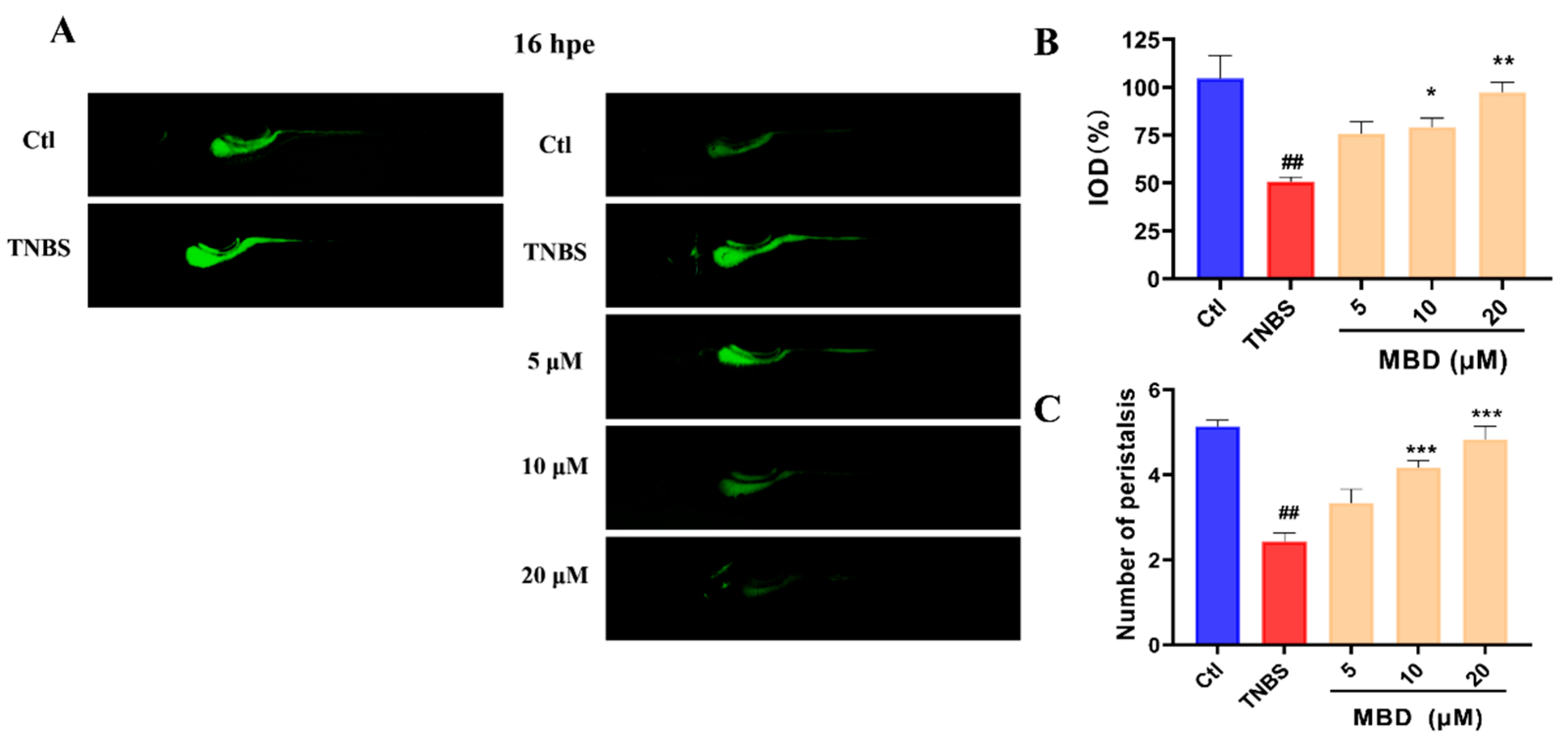 Marinedrugs 23 00047 g003