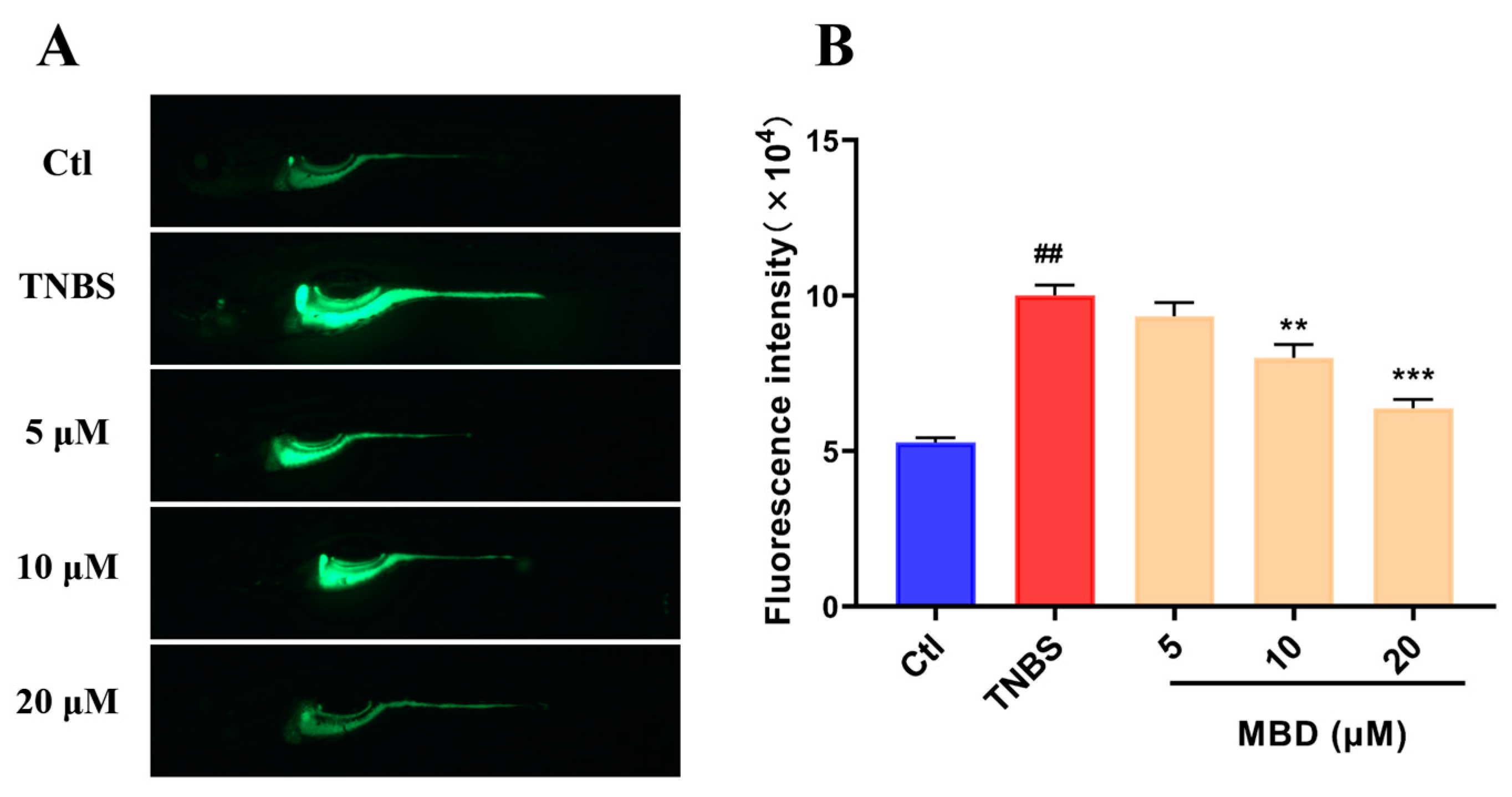 Marinedrugs 23 00047 g005