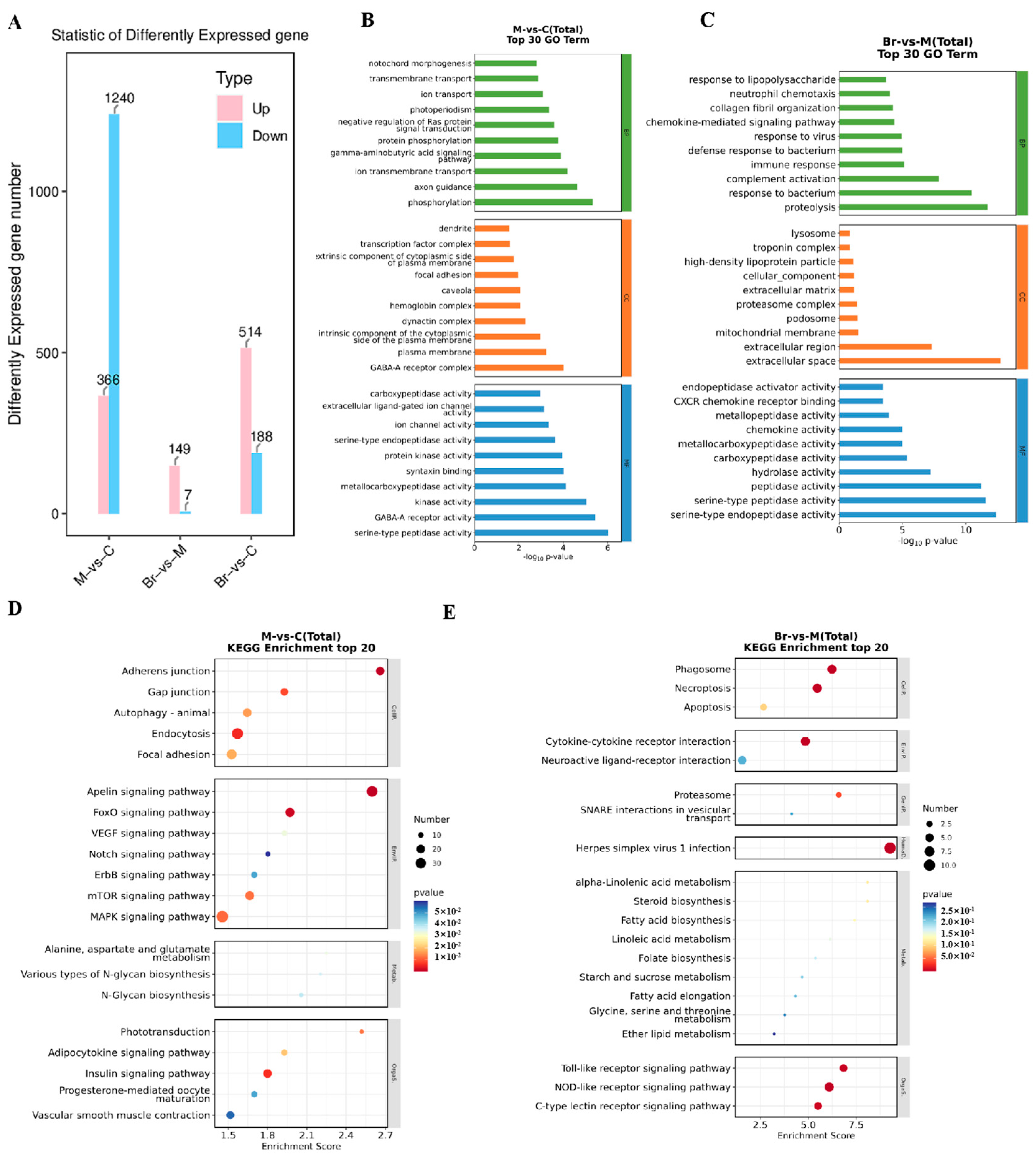Marinedrugs 23 00047 g007