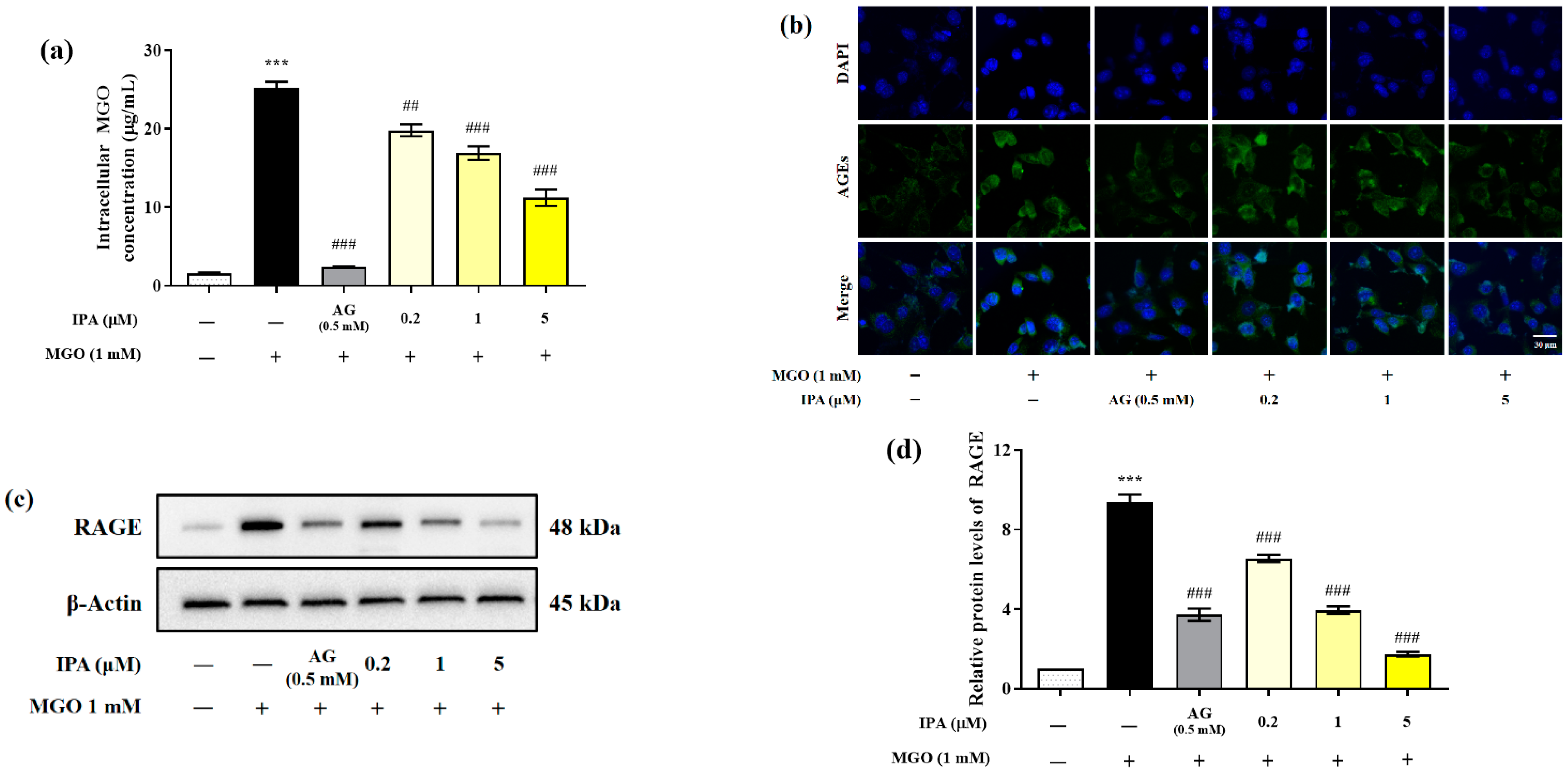 Marinedrugs 23 00048 g003