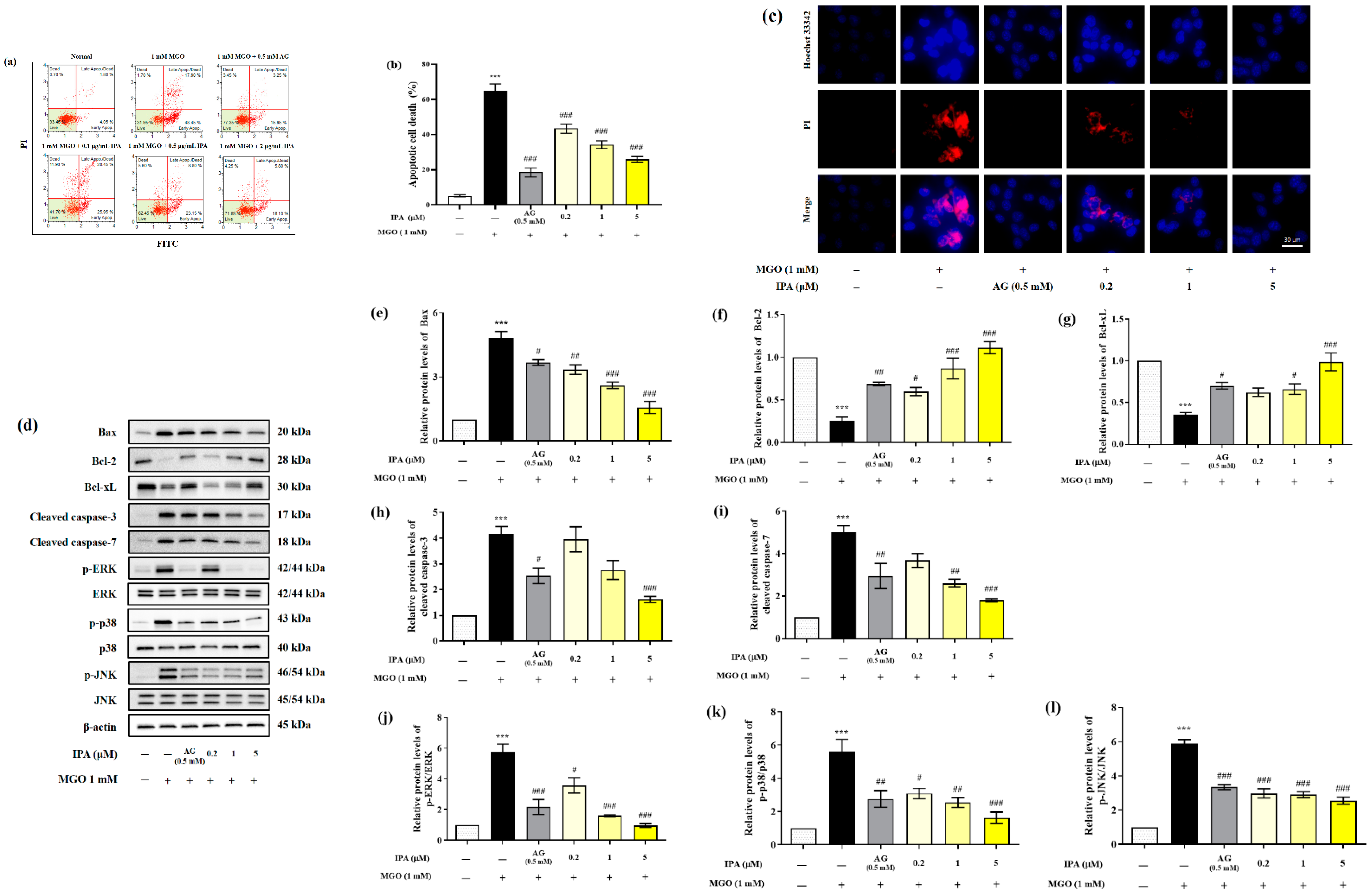 Marinedrugs 23 00048 g004