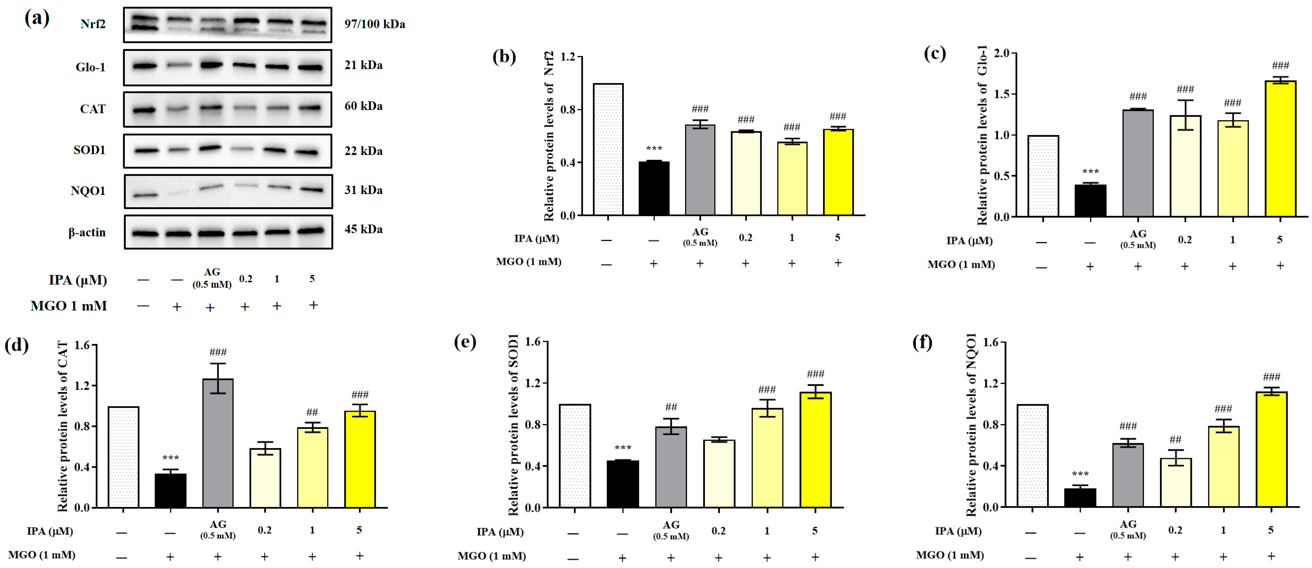Marinedrugs 23 00048 g005
