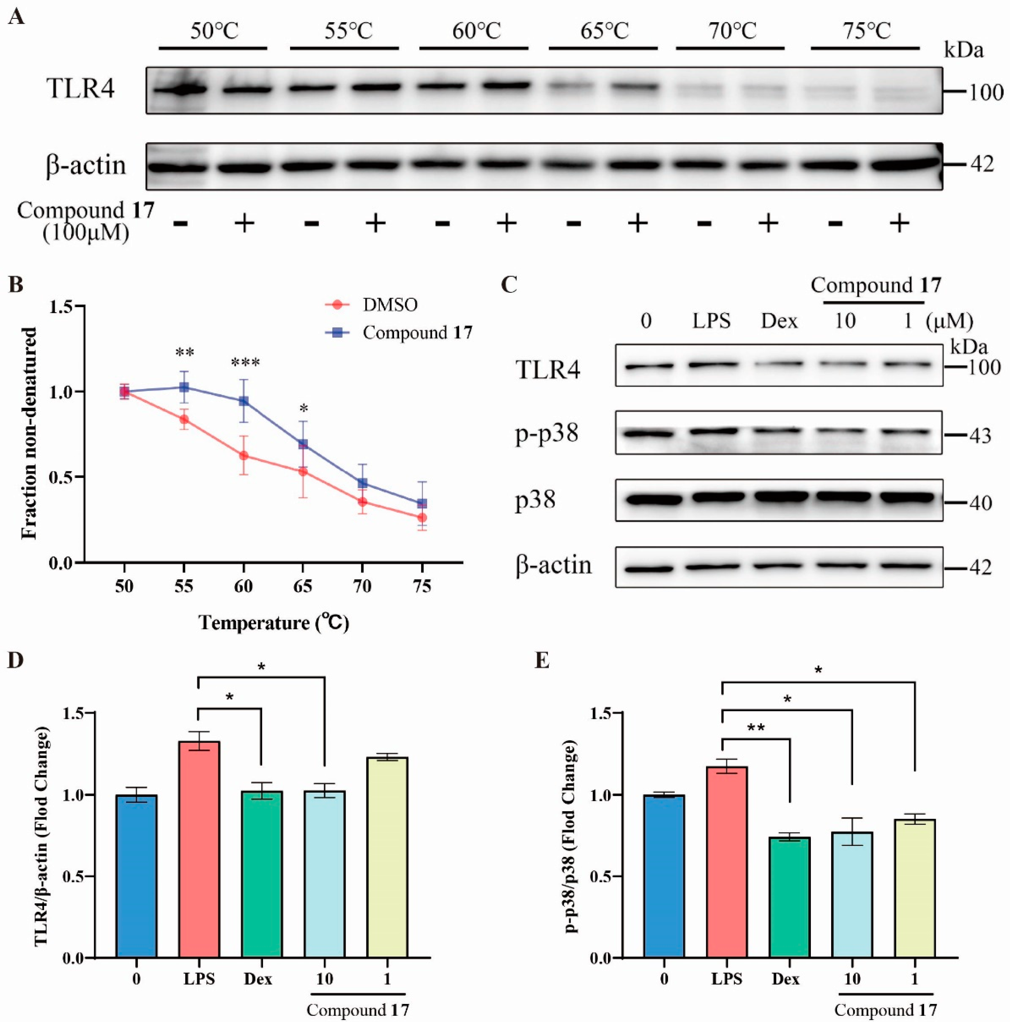 Marinedrugs 23 00049 g005