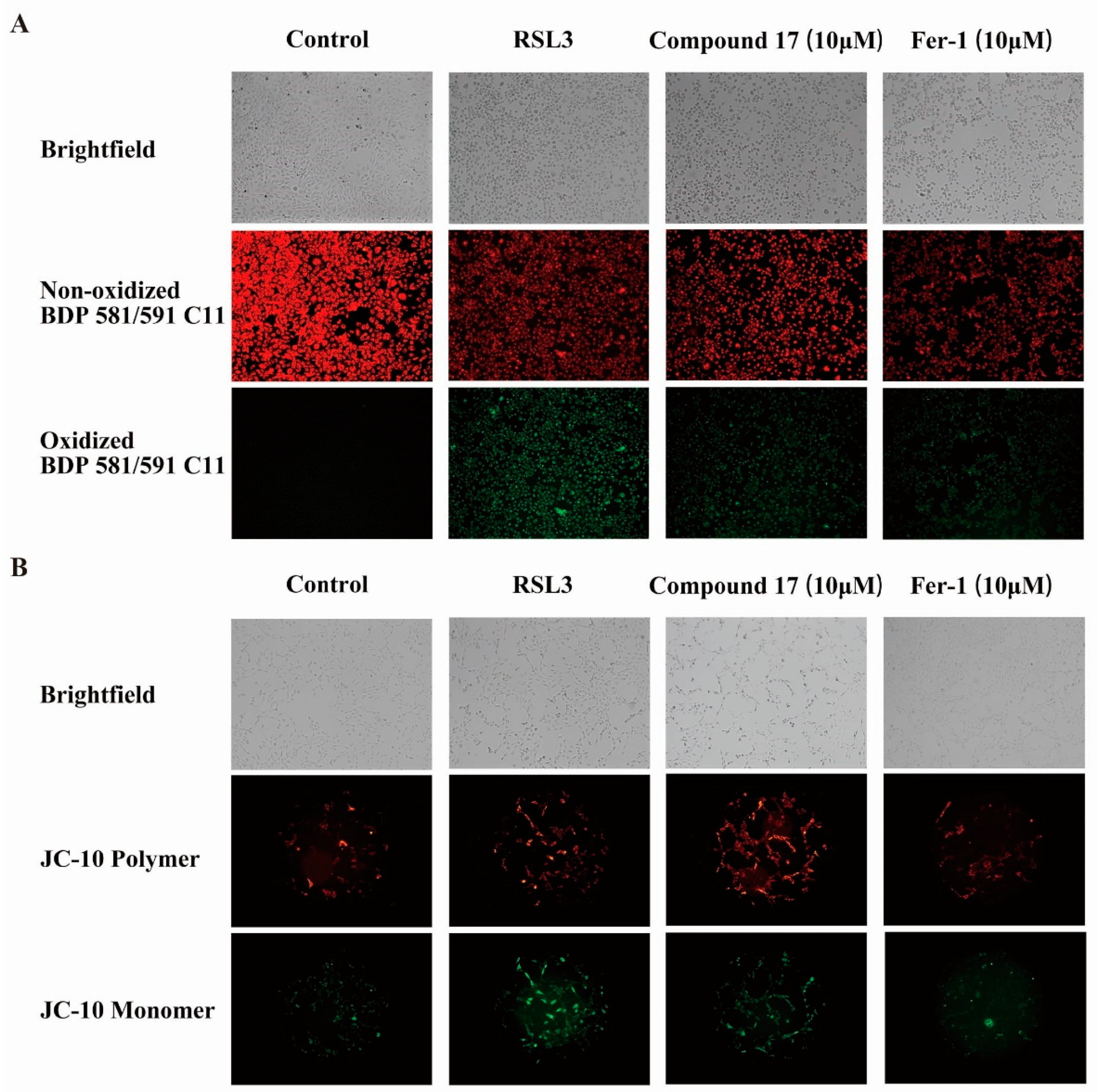 Marinedrugs 23 00049 g006