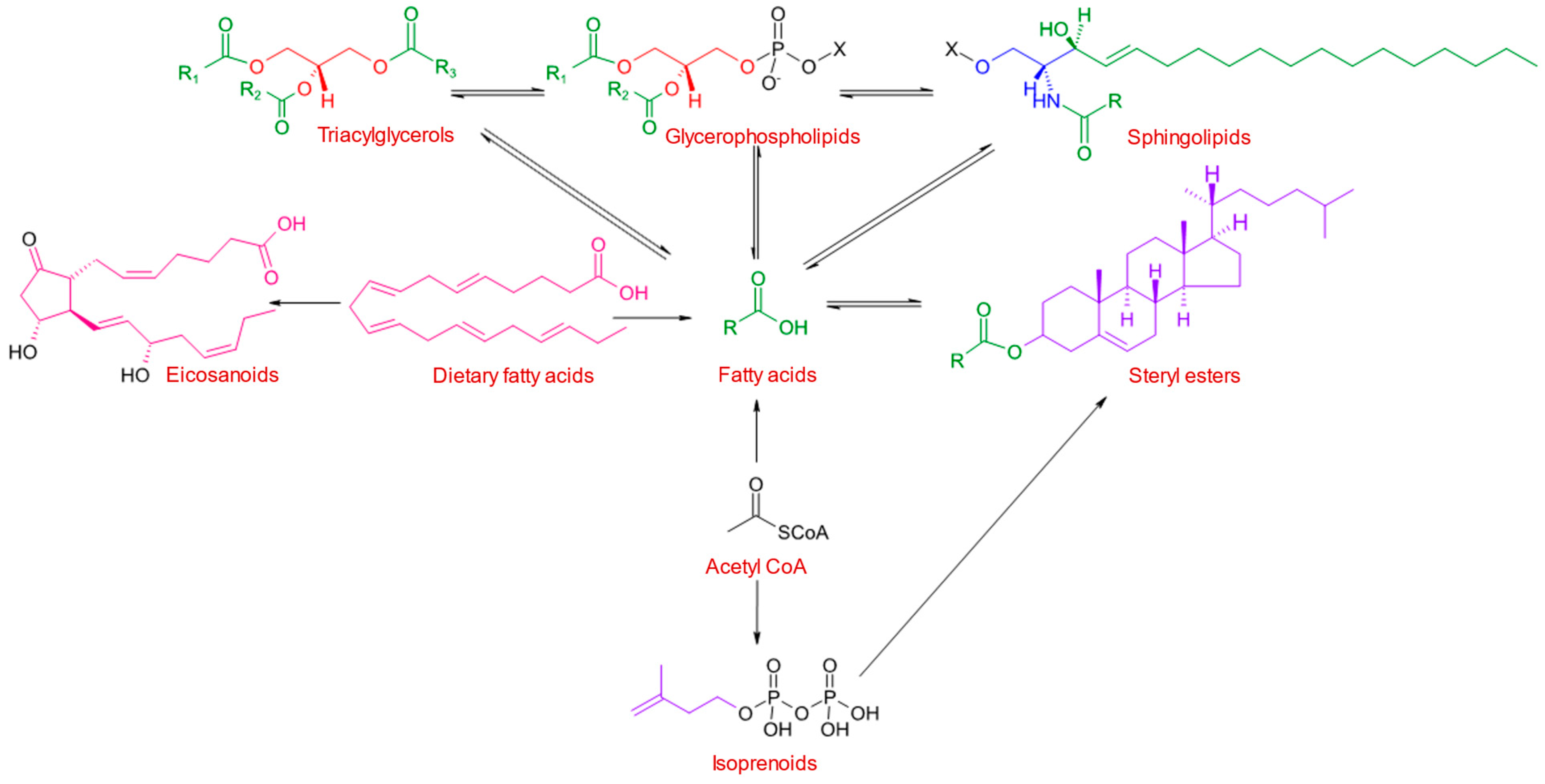Marinedrugs 23 00052 g001