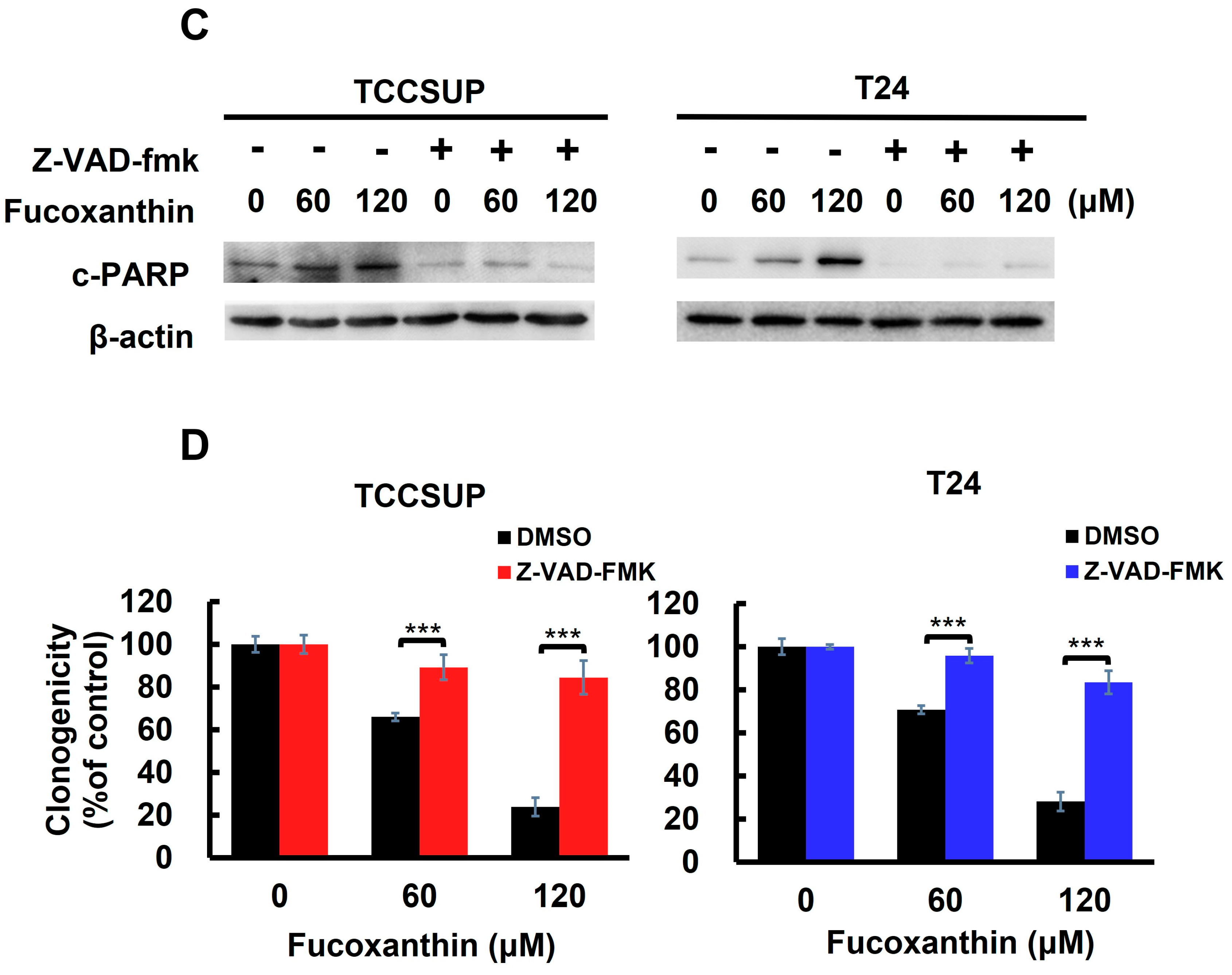 Marinedrugs 23 00054 g002b
