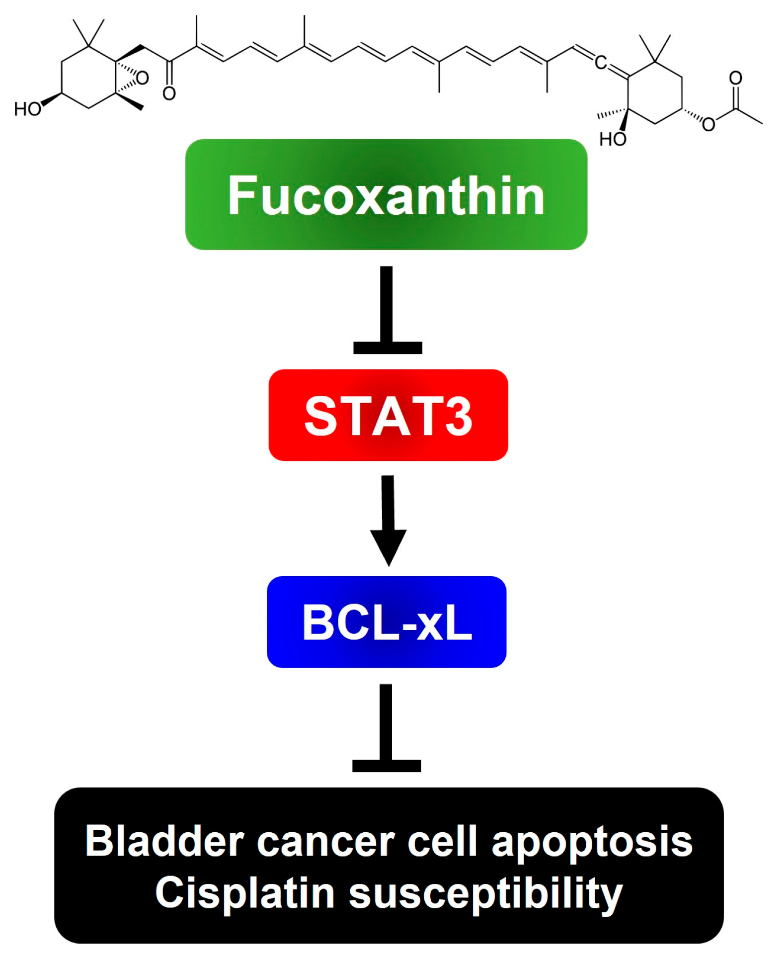 Marinedrugs 23 00054 g006