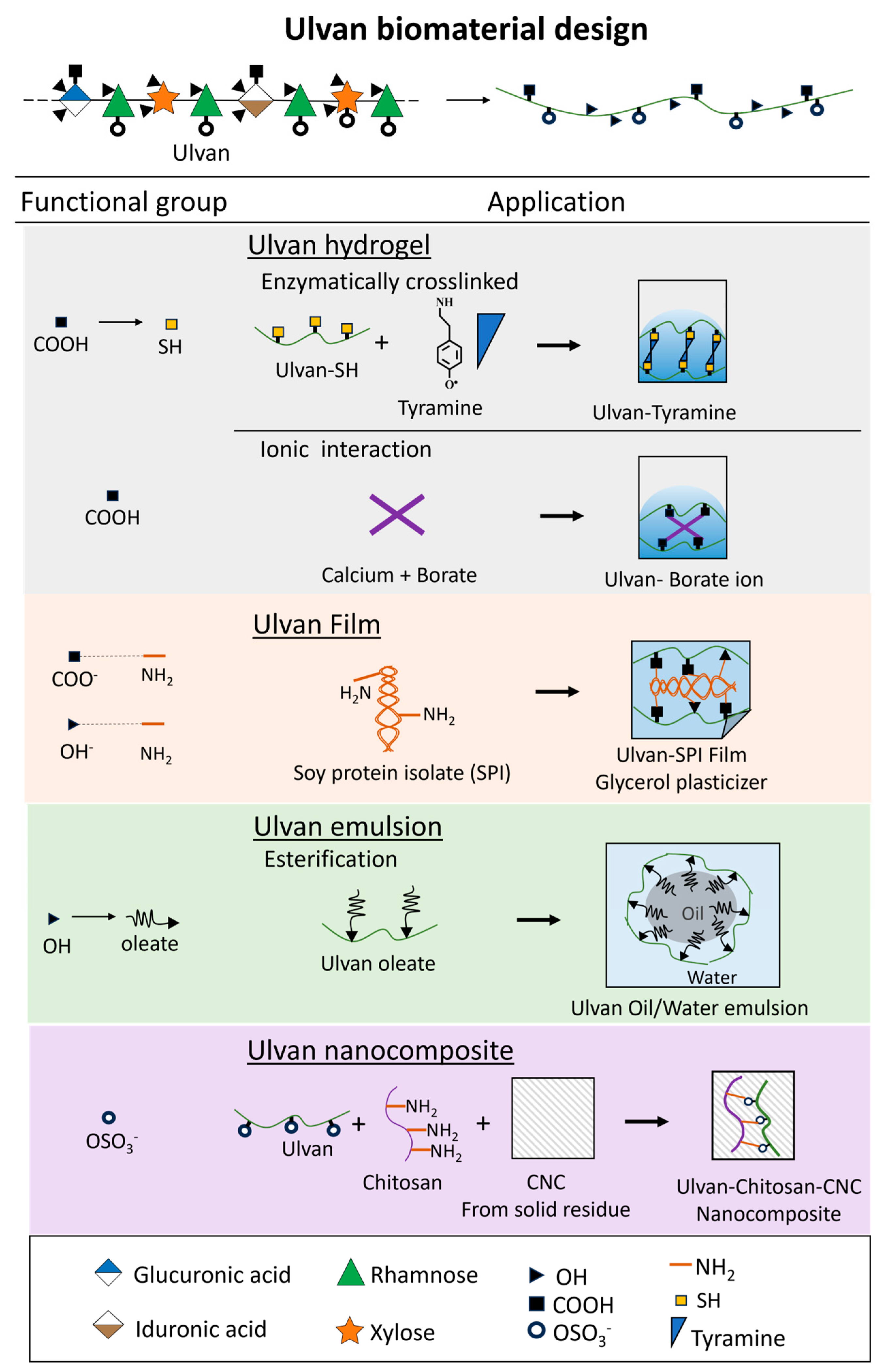 Marinedrugs 23 00056 g005