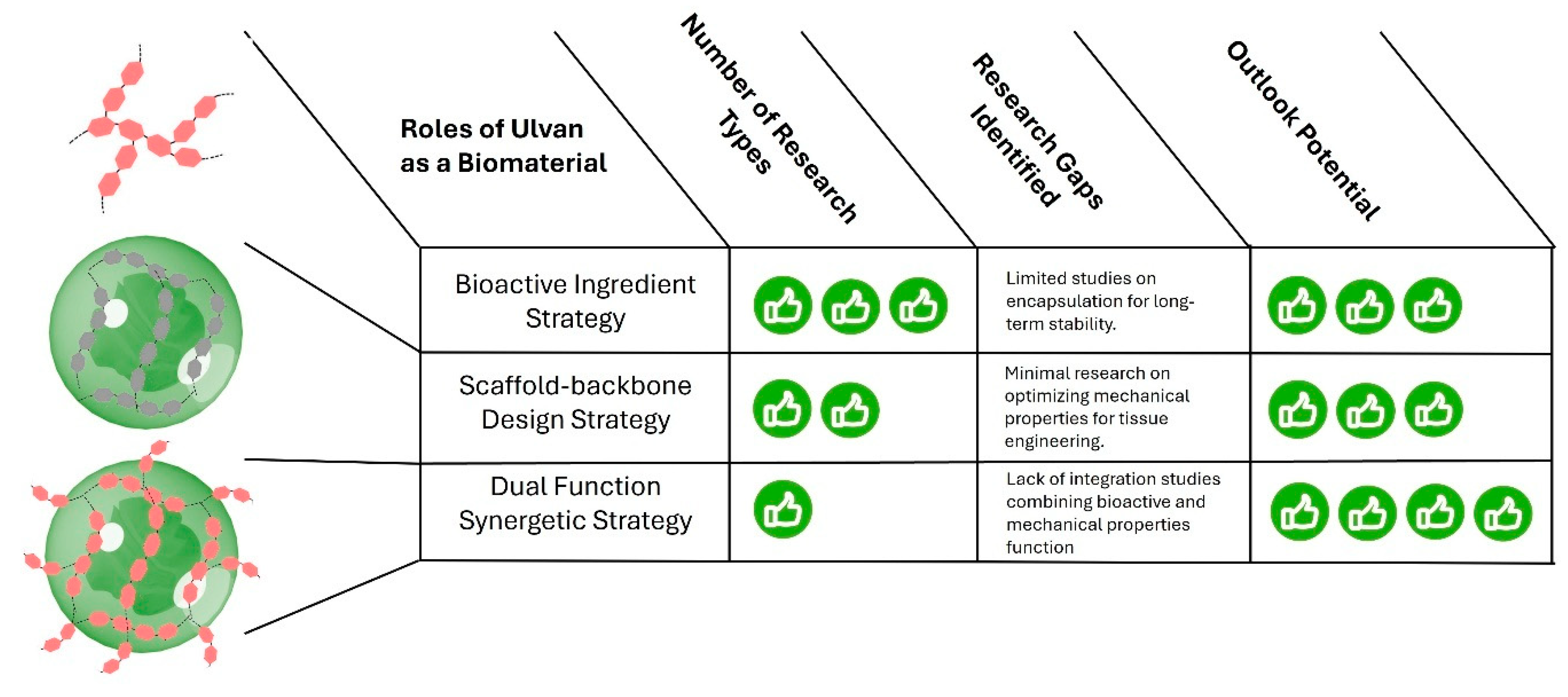 Marinedrugs 23 00056 g006