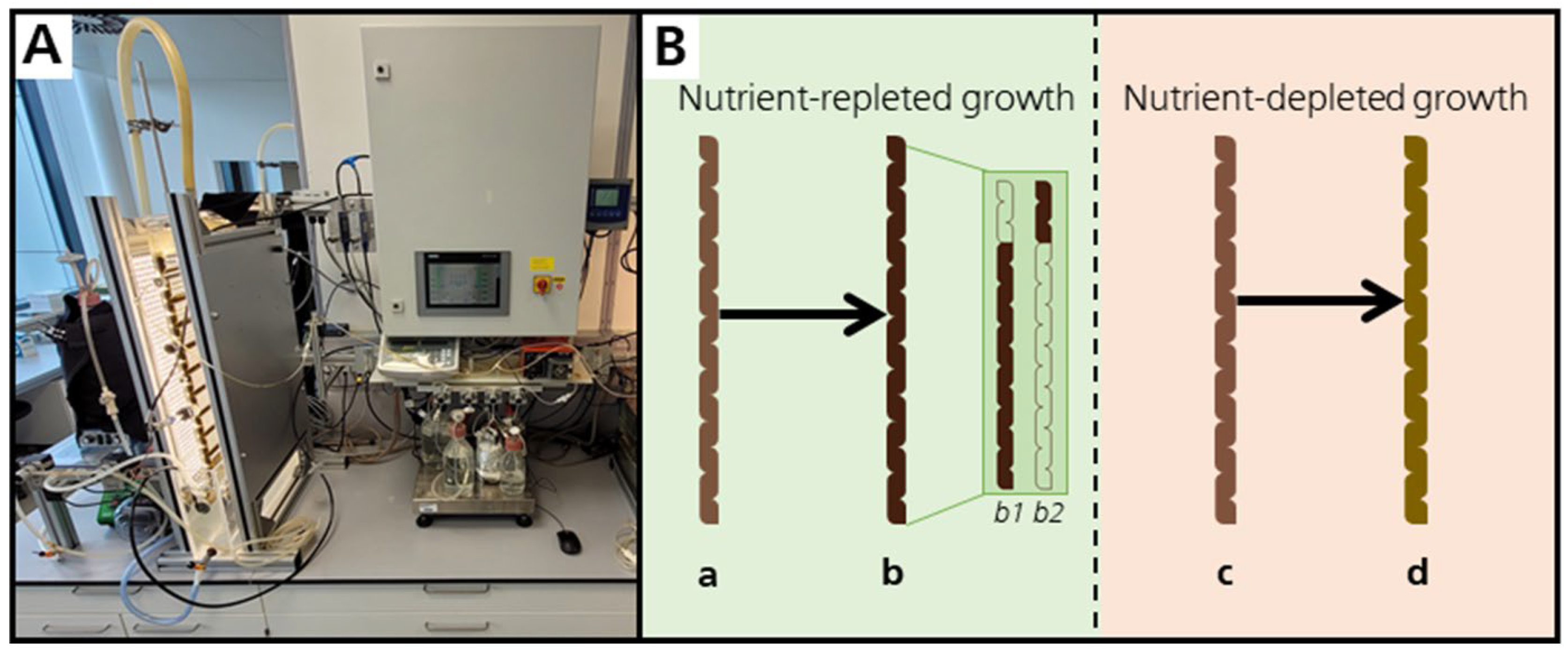 Marinedrugs 23 00058 g001
