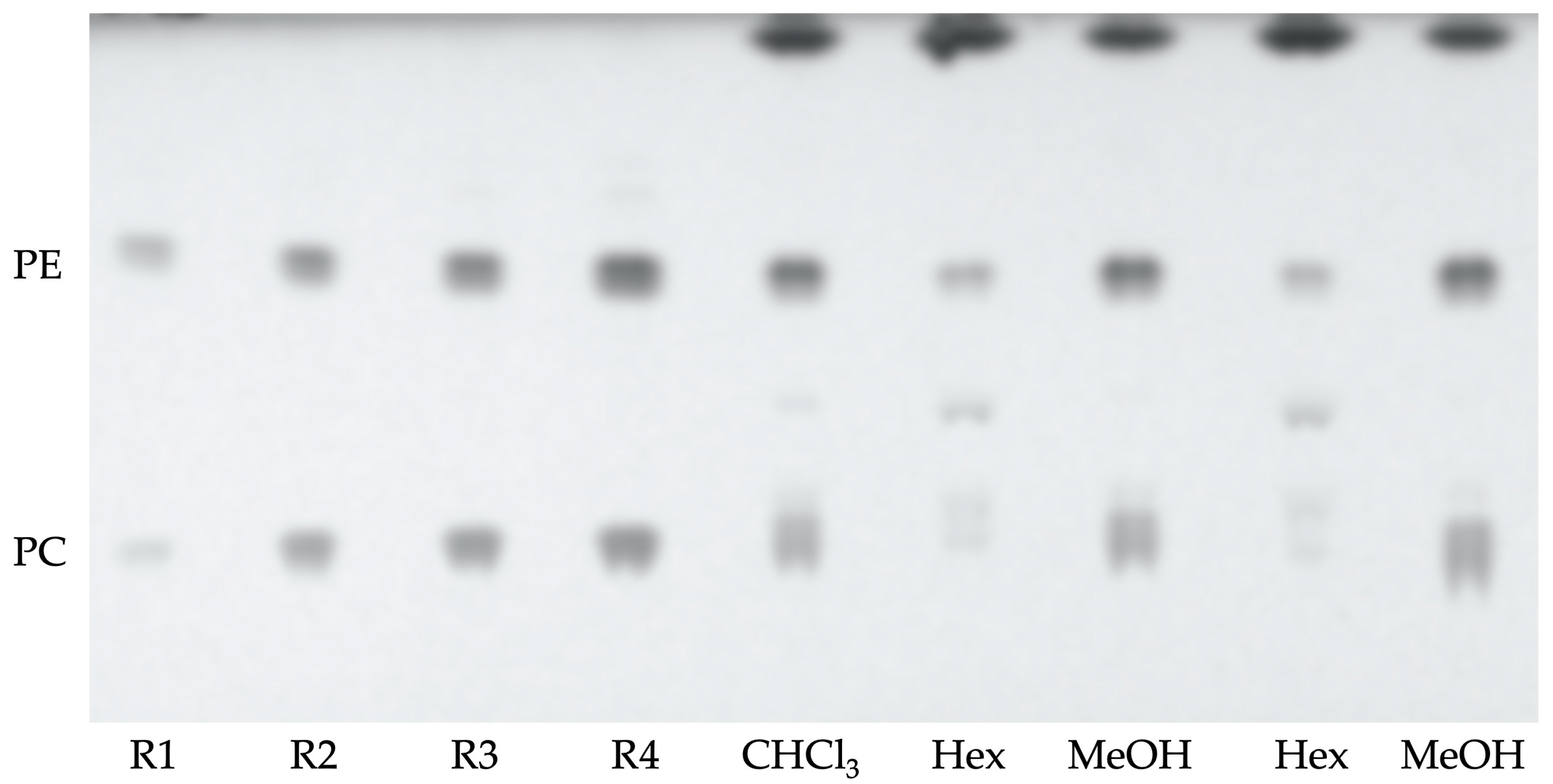 Marinedrugs 23 00059 g002