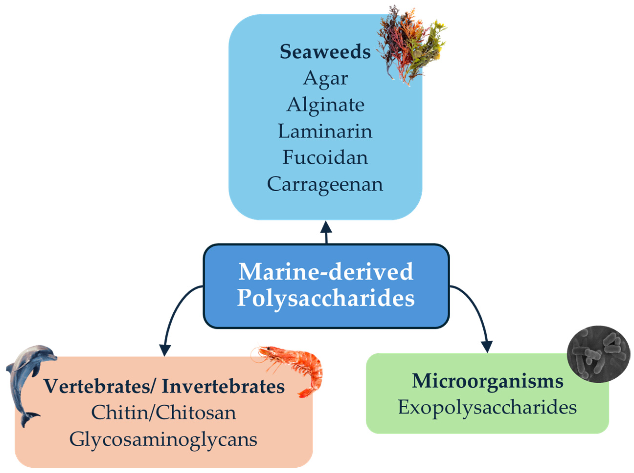 Marinedrugs 23 00060 g001