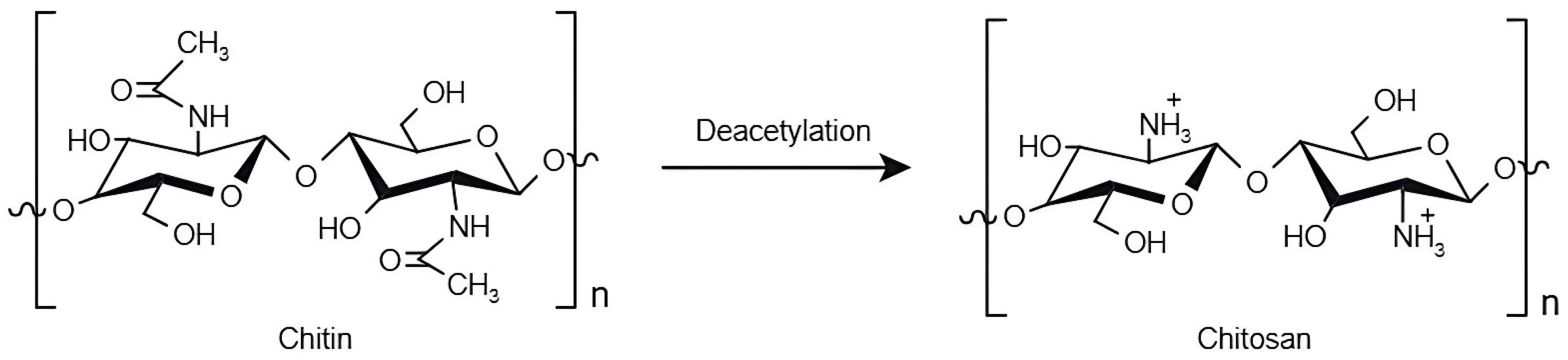 Marinedrugs 23 00060 g007