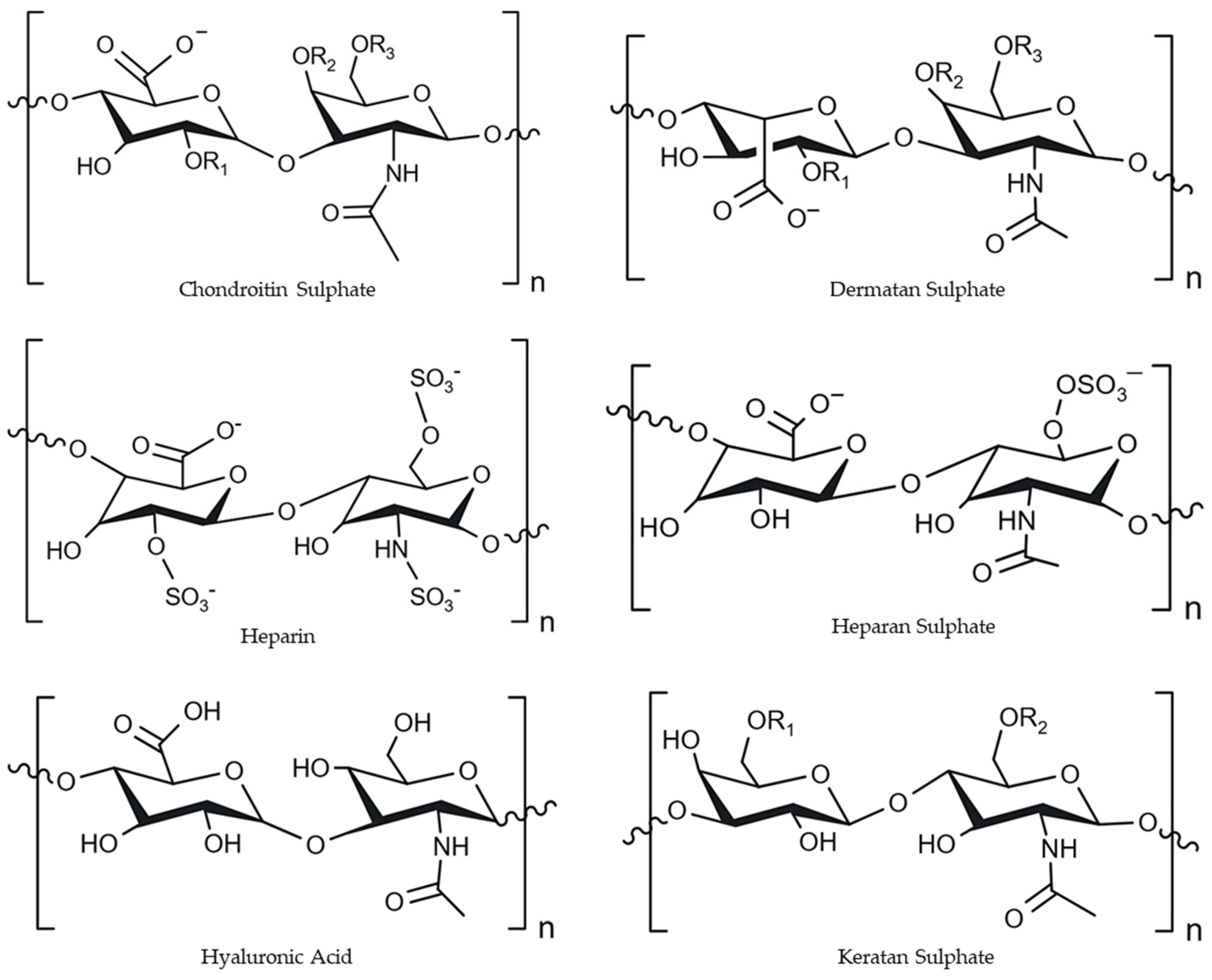 Marinedrugs 23 00060 g008