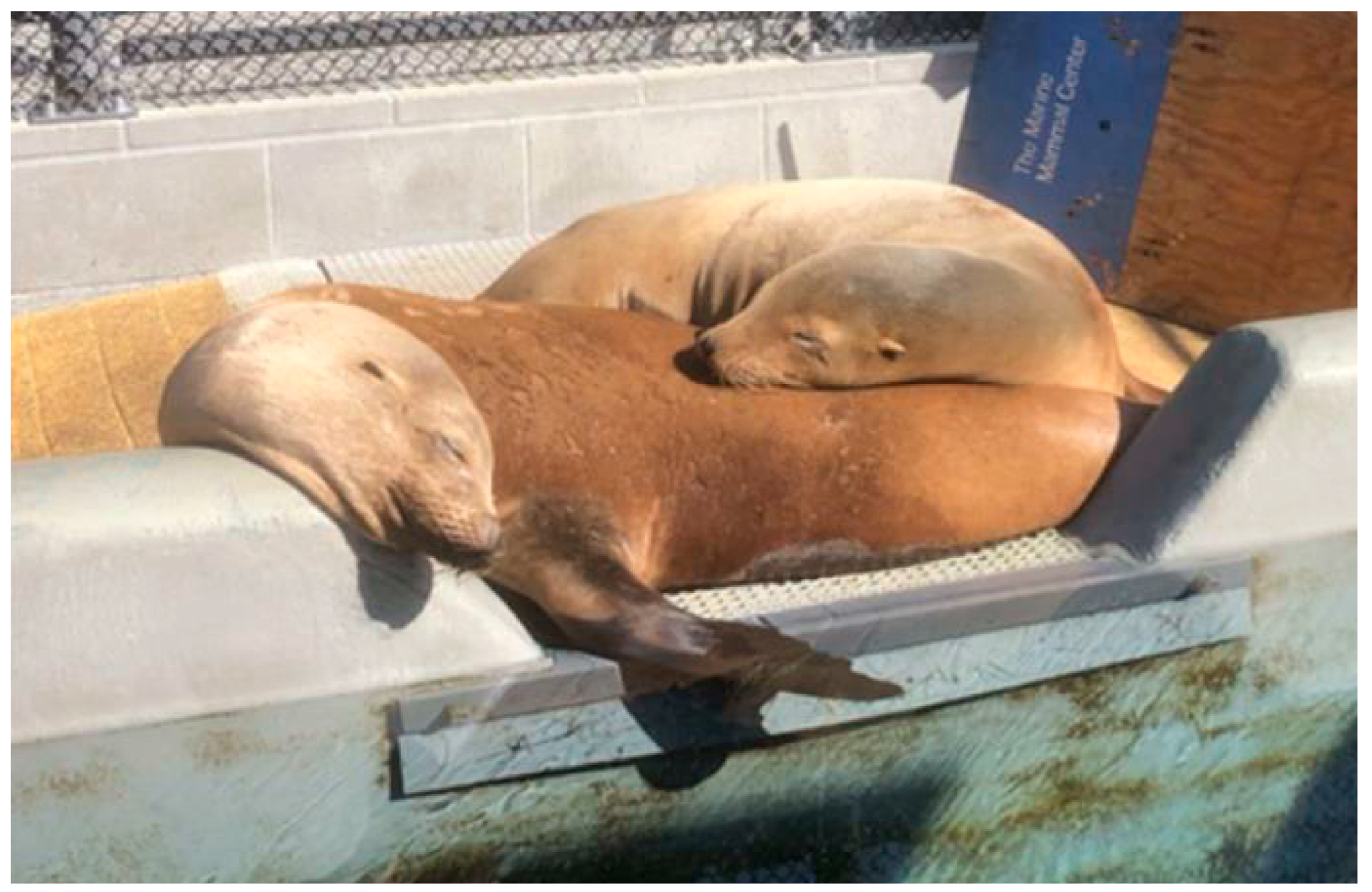 Marinedrugs 23 00061 g003