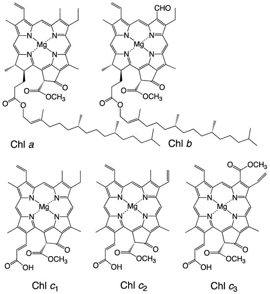 Marinedrugs 23 00062 g001