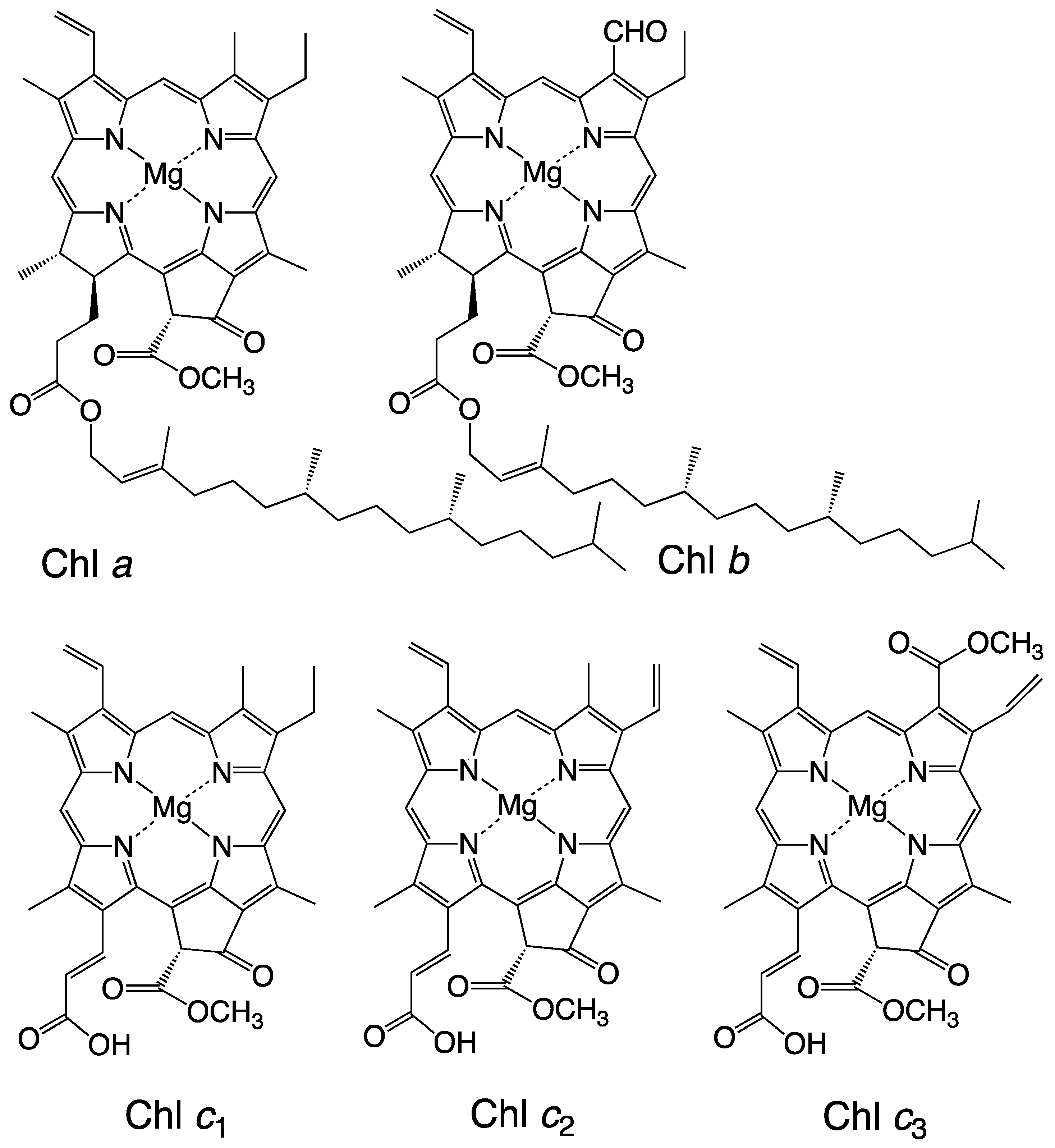 Marinedrugs 23 00062 g001