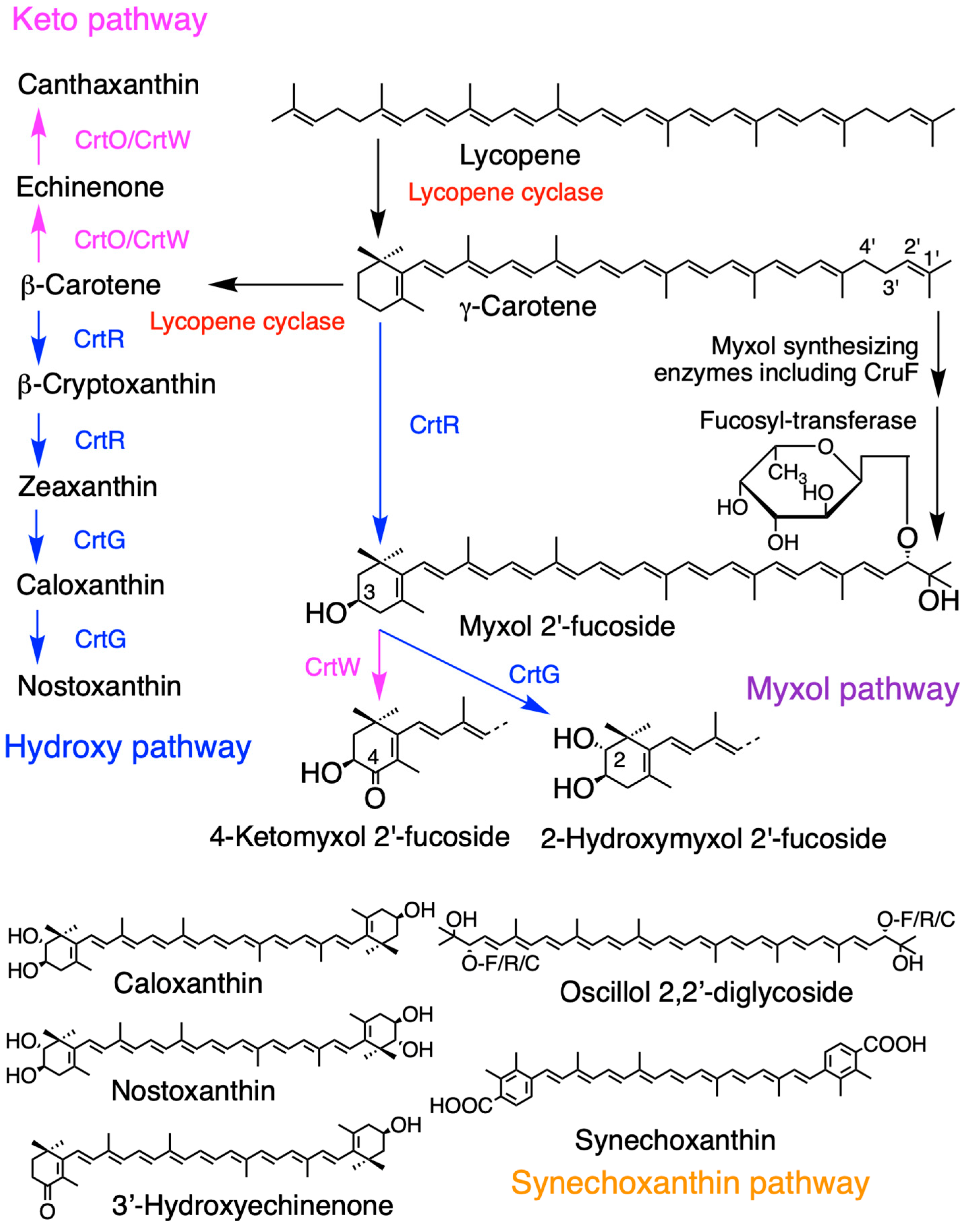 Marinedrugs 23 00062 g003