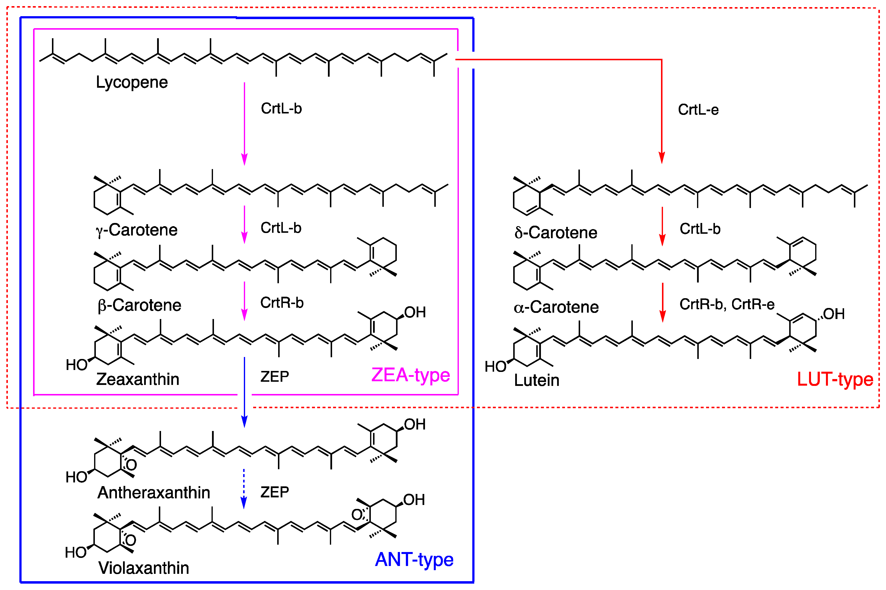 Marinedrugs 23 00062 g004