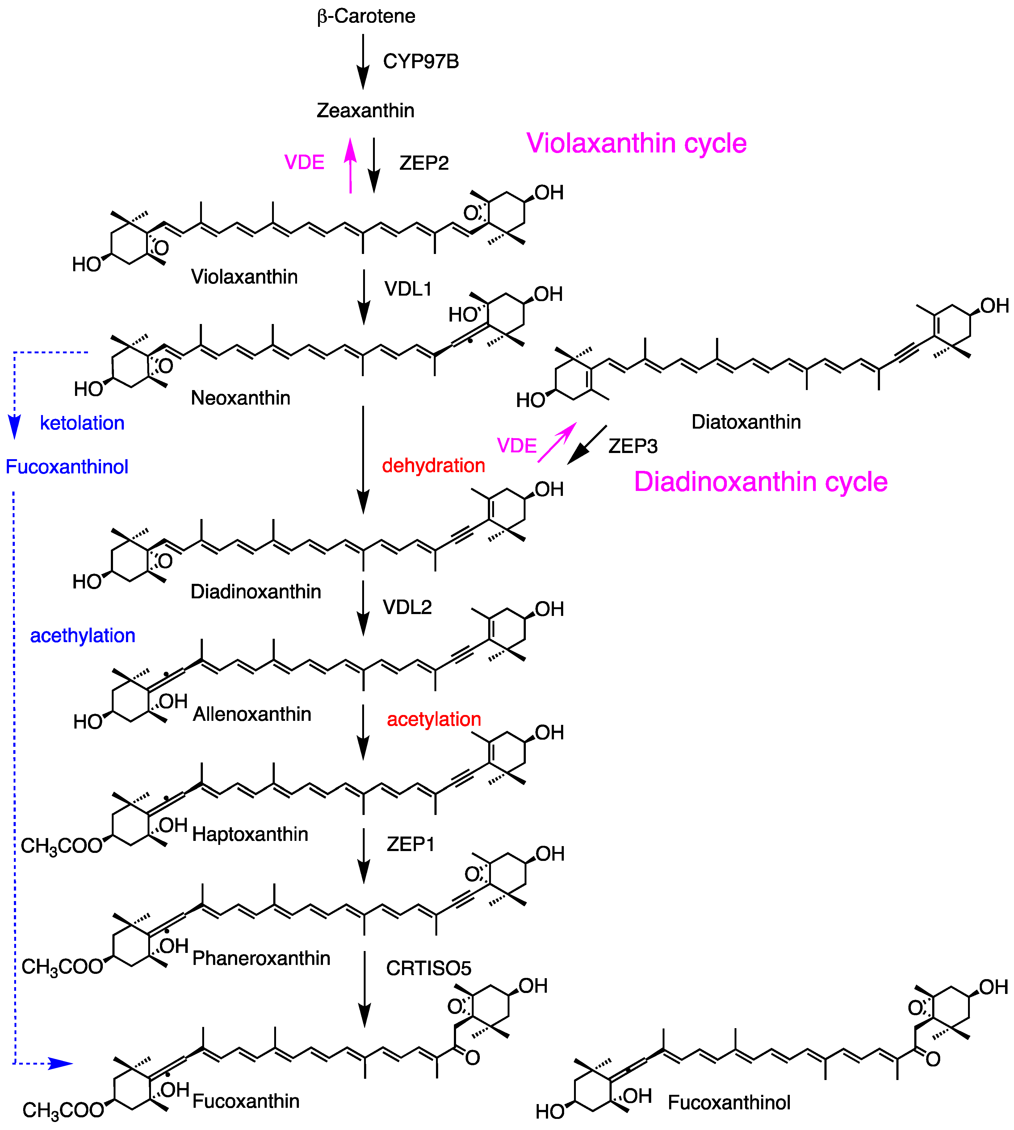 Marinedrugs 23 00062 g005