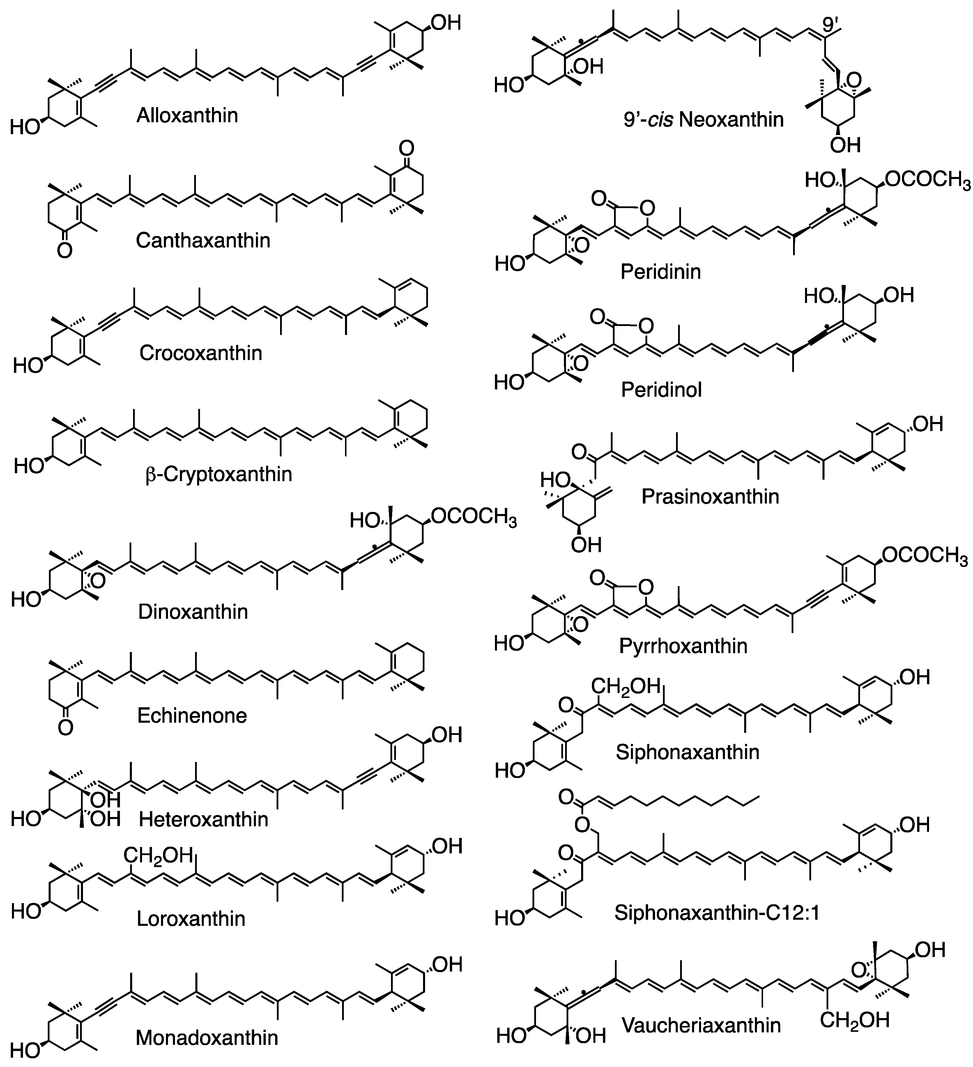 Marinedrugs 23 00062 g006