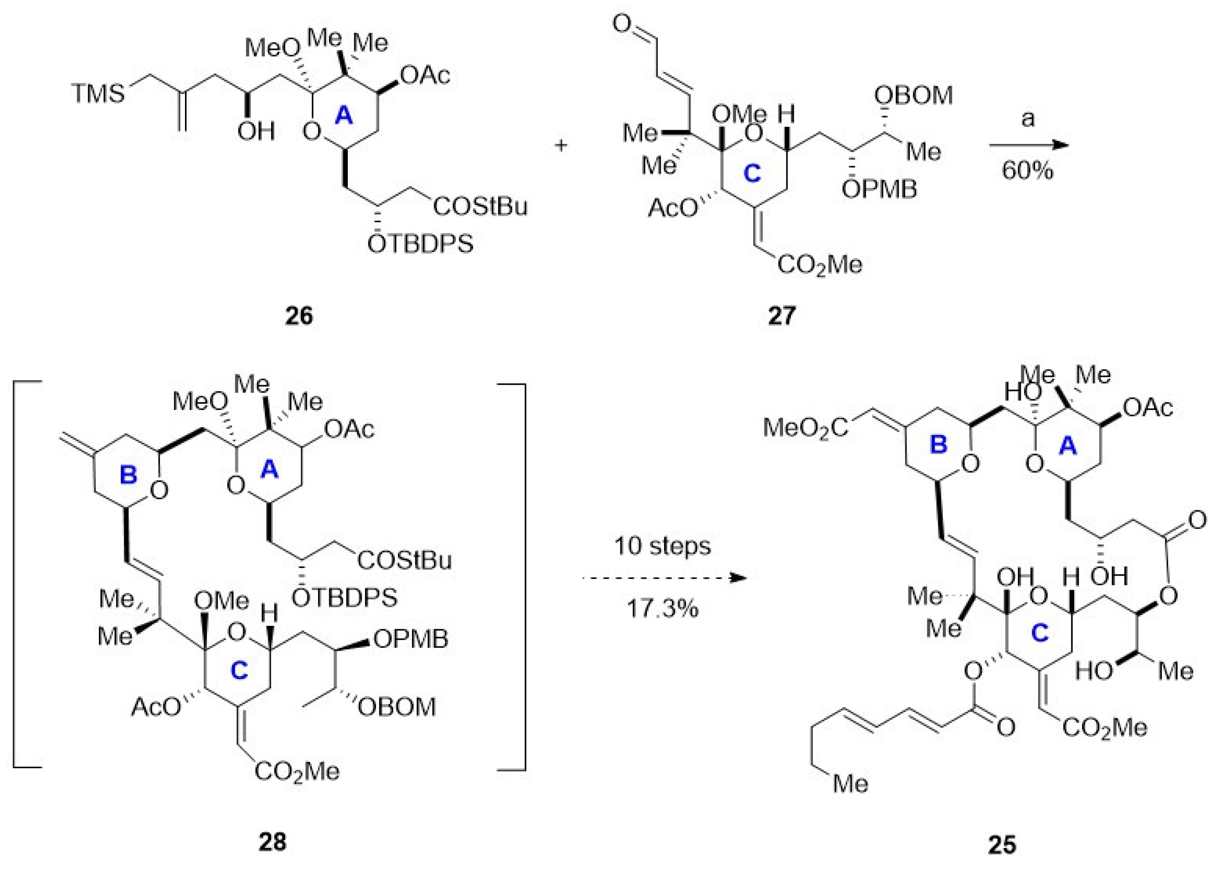 Marinedrugs 23 00069 sch009