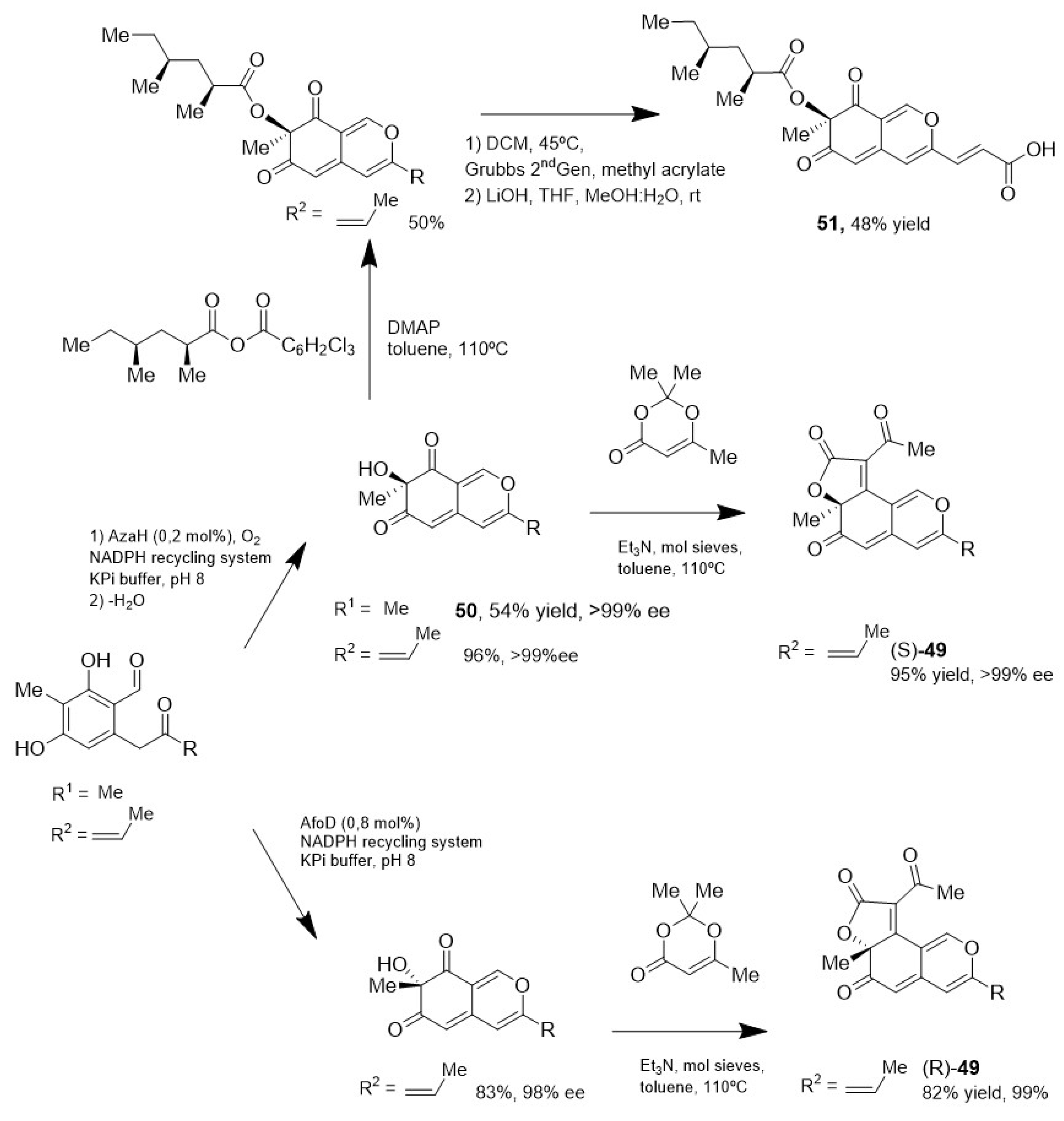 Marinedrugs 23 00069 sch018