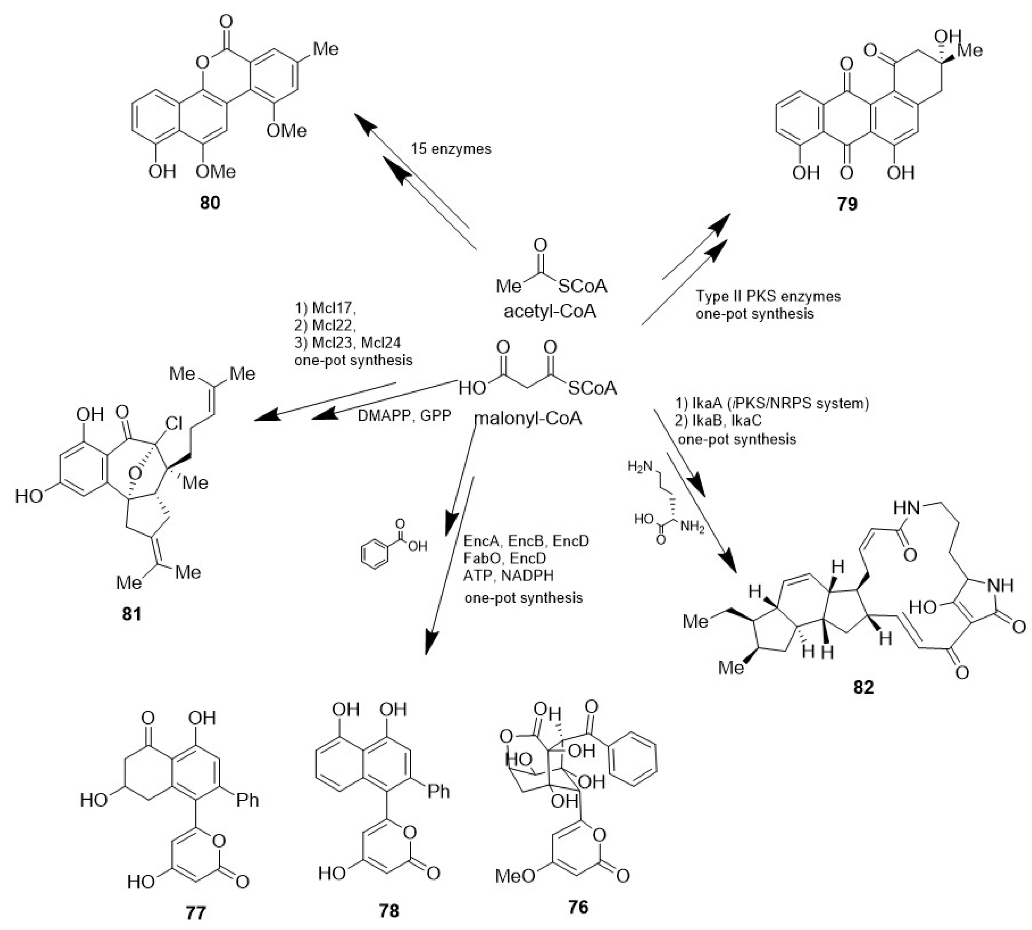 Marinedrugs 23 00069 sch021