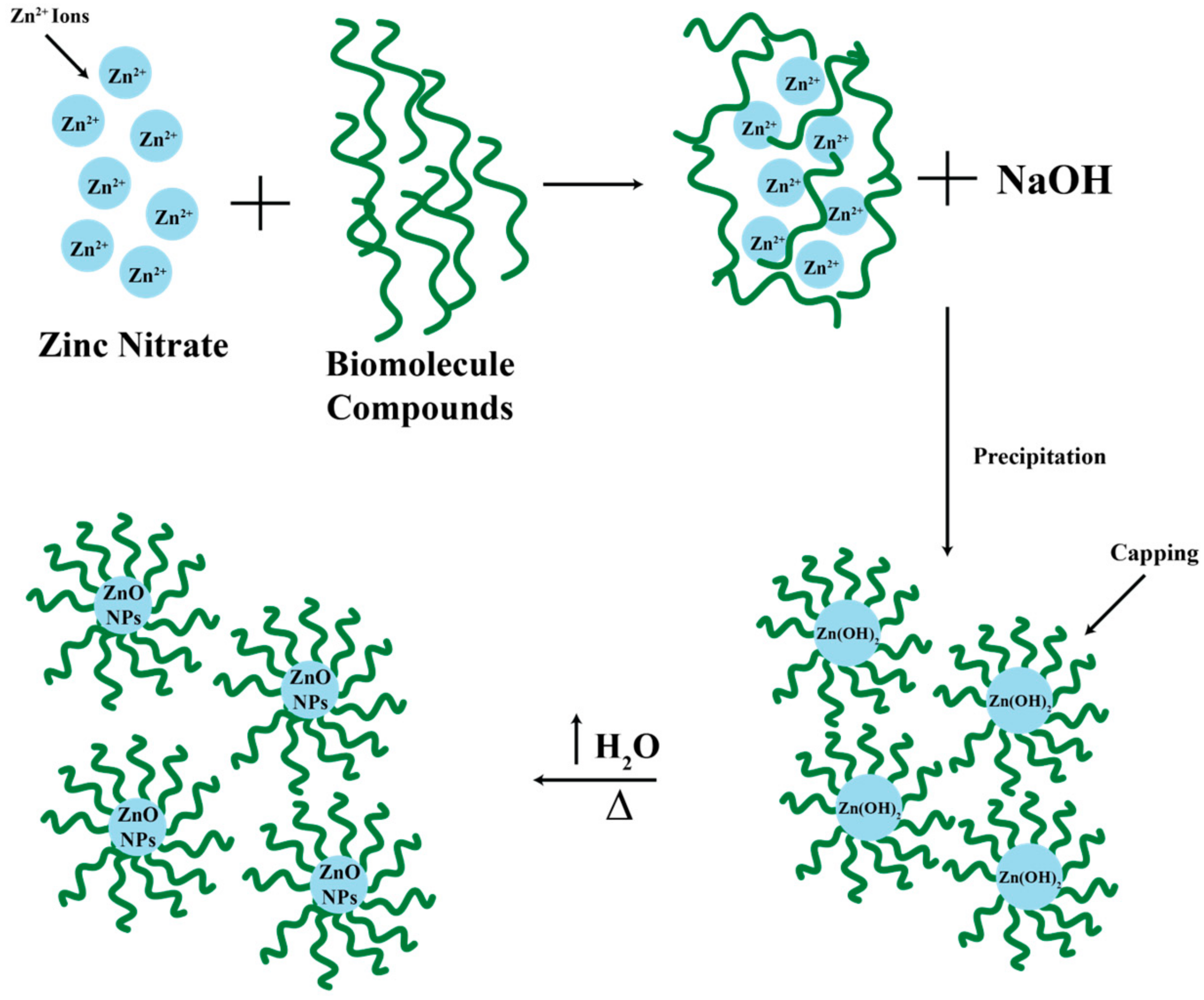 Marinedrugs 23 00071 g001