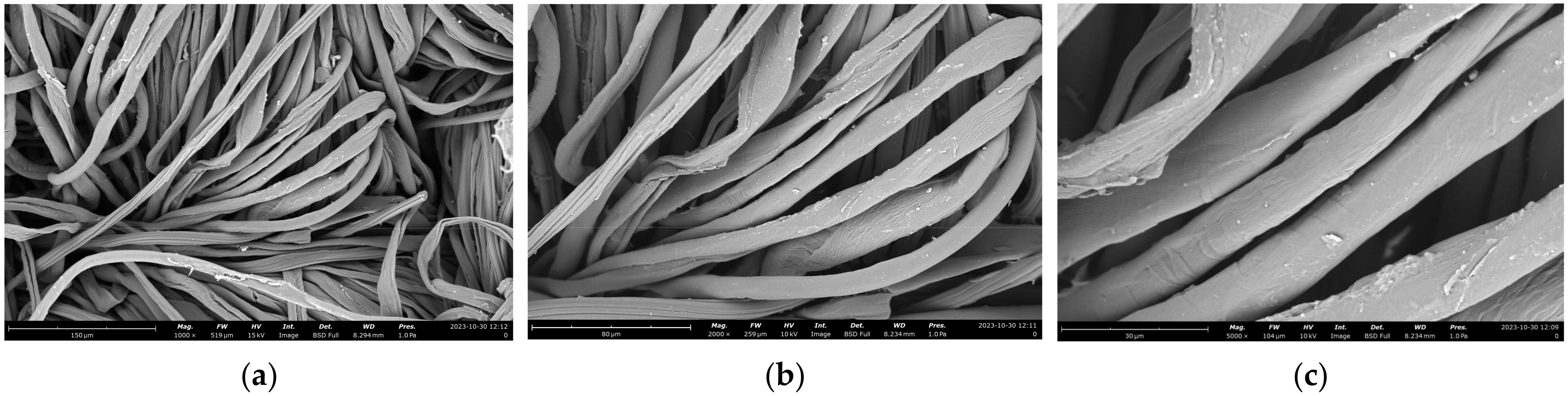 Marinedrugs 23 00071 g007