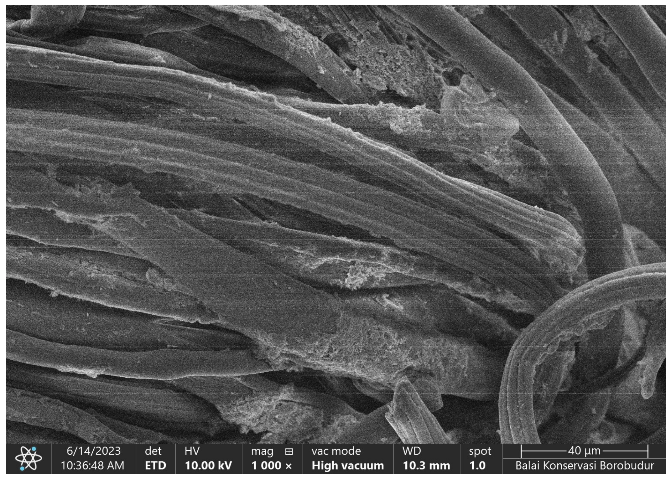 Marinedrugs 23 00071 g009