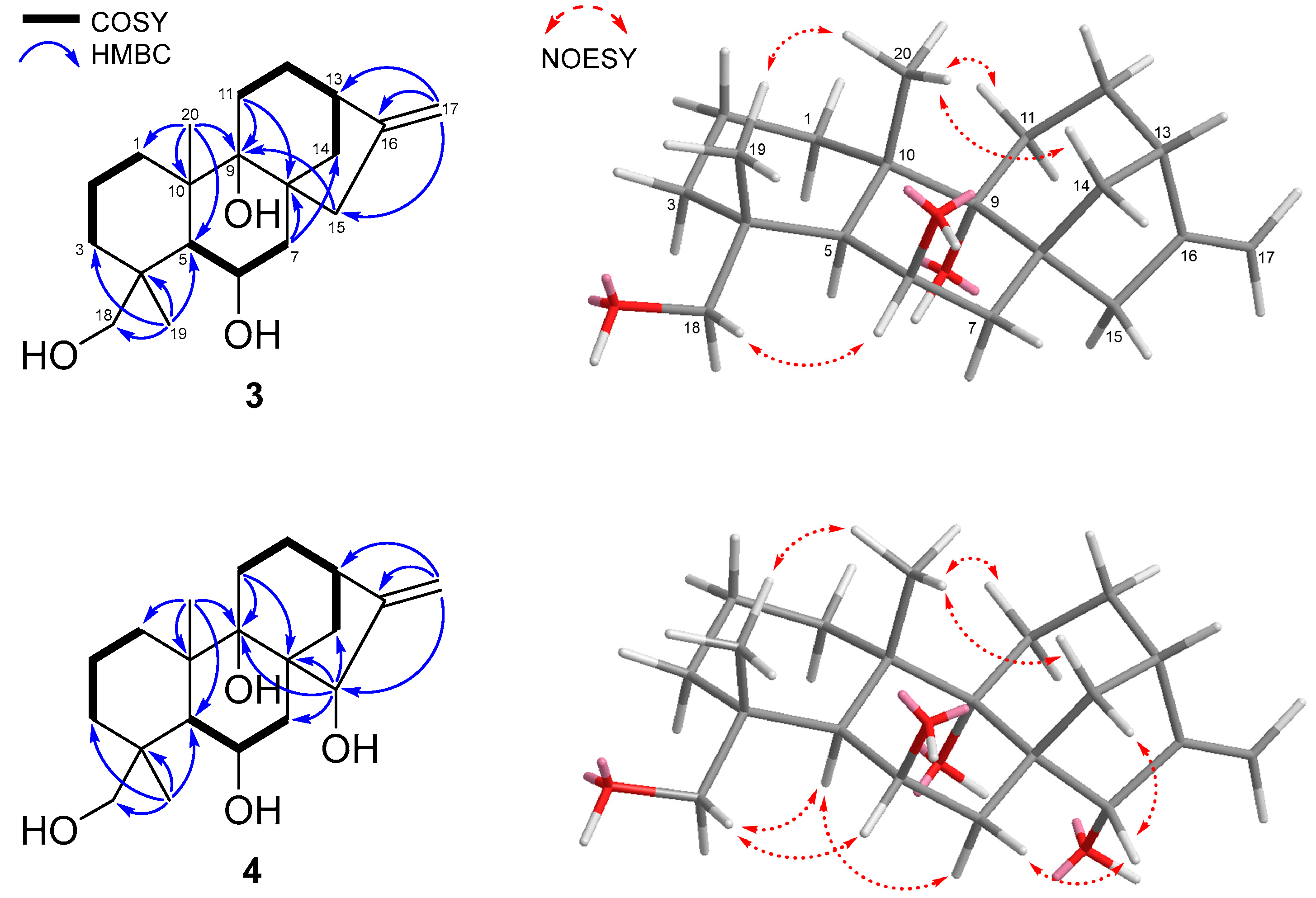 Marinedrugs 23 00078 g004