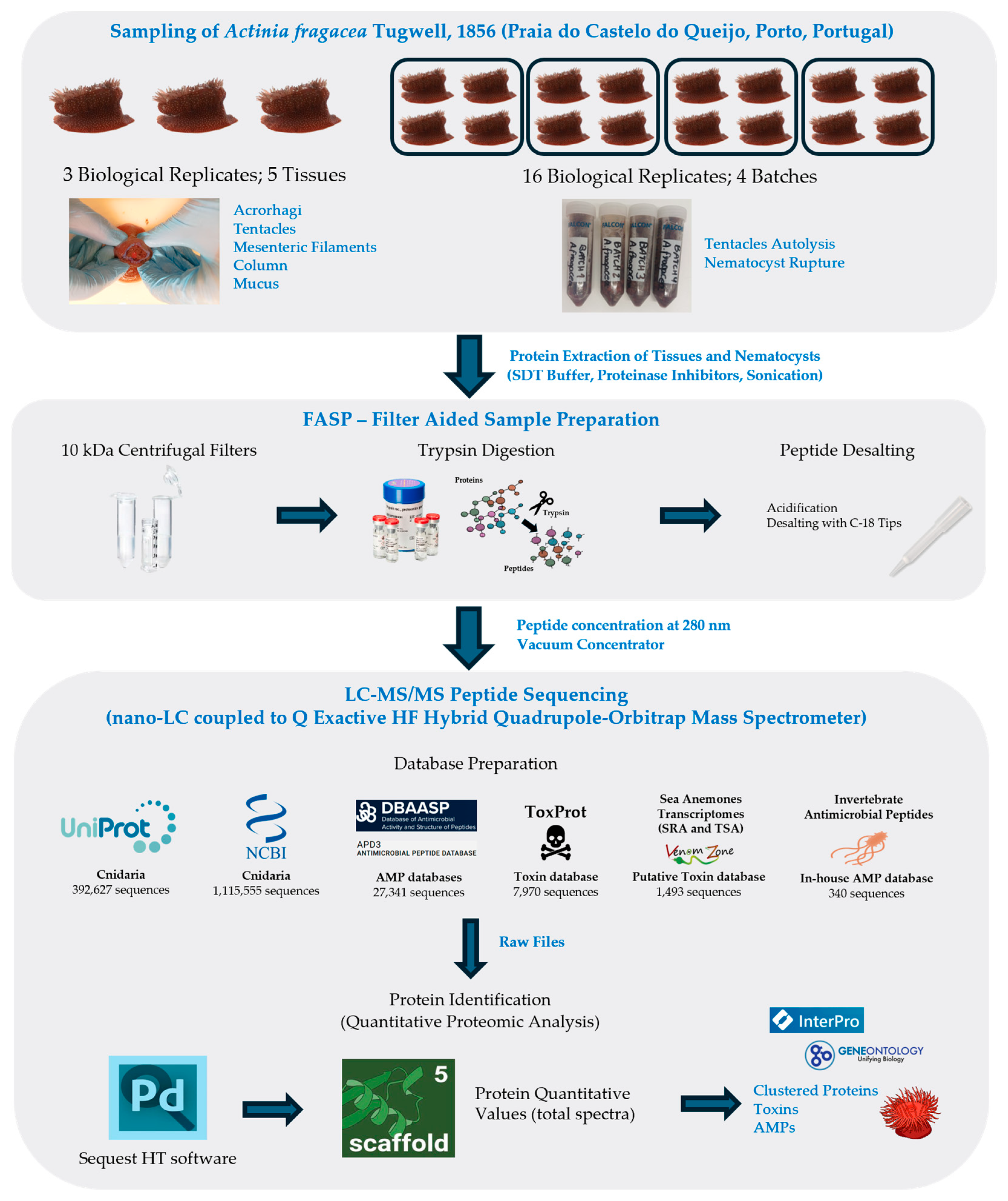 Marinedrugs 23 00079 g001