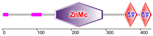 Marinedrugs 23 00079 i001