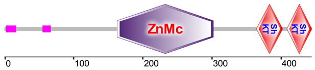 Marinedrugs 23 00079 i002