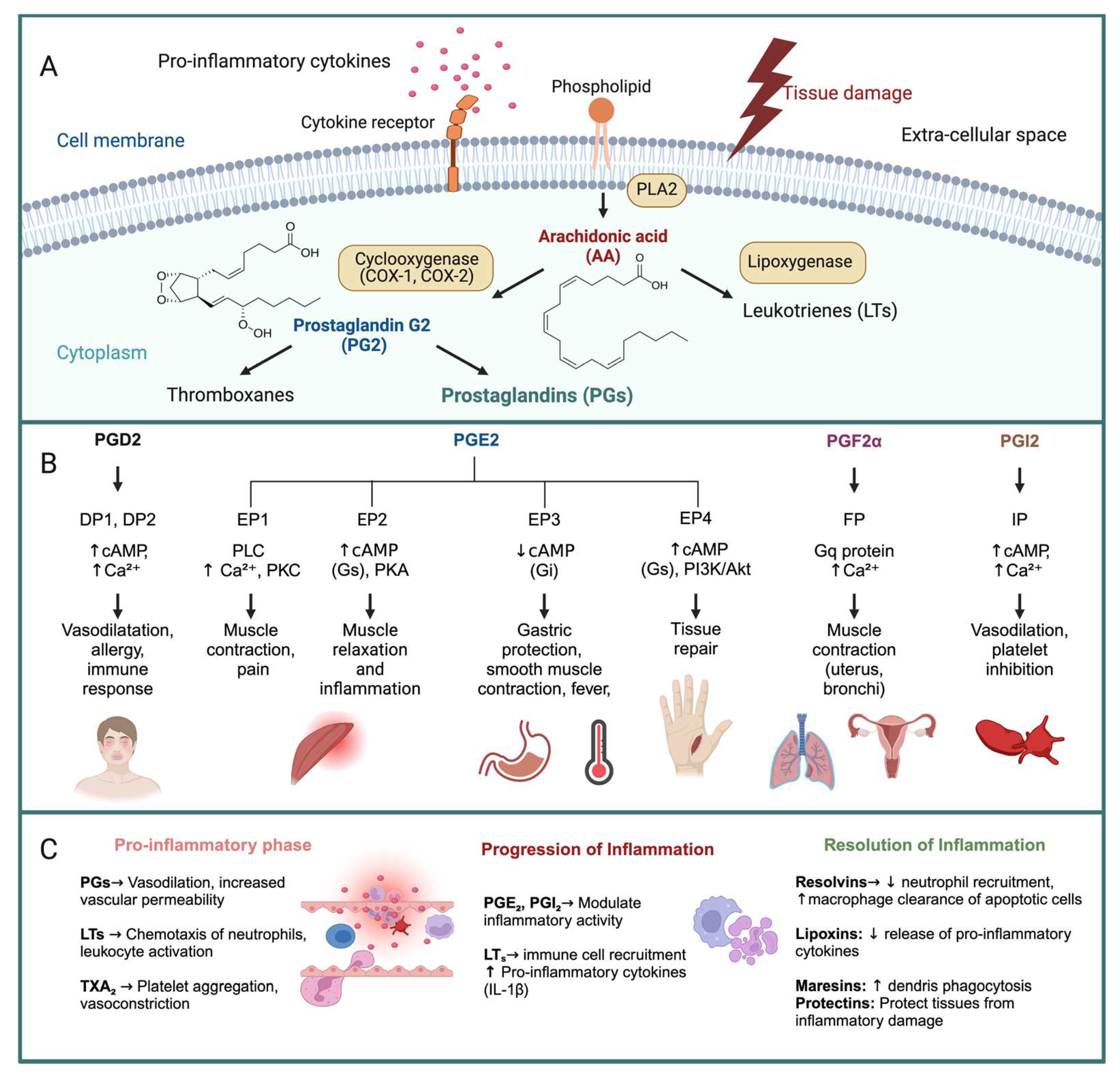 Marinedrugs 23 00086 g001