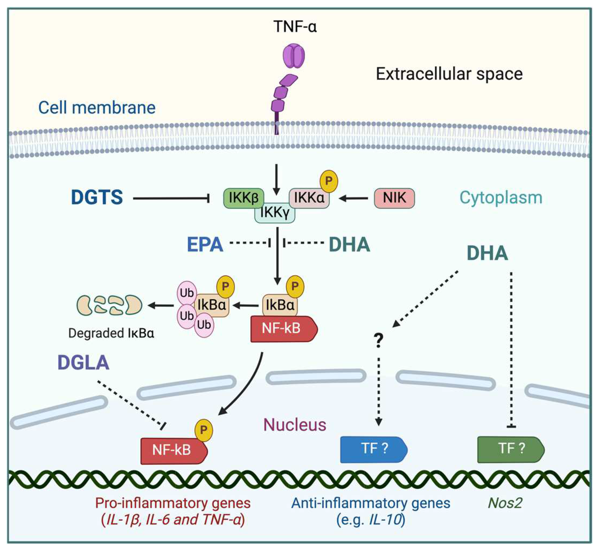 Marinedrugs 23 00086 g002