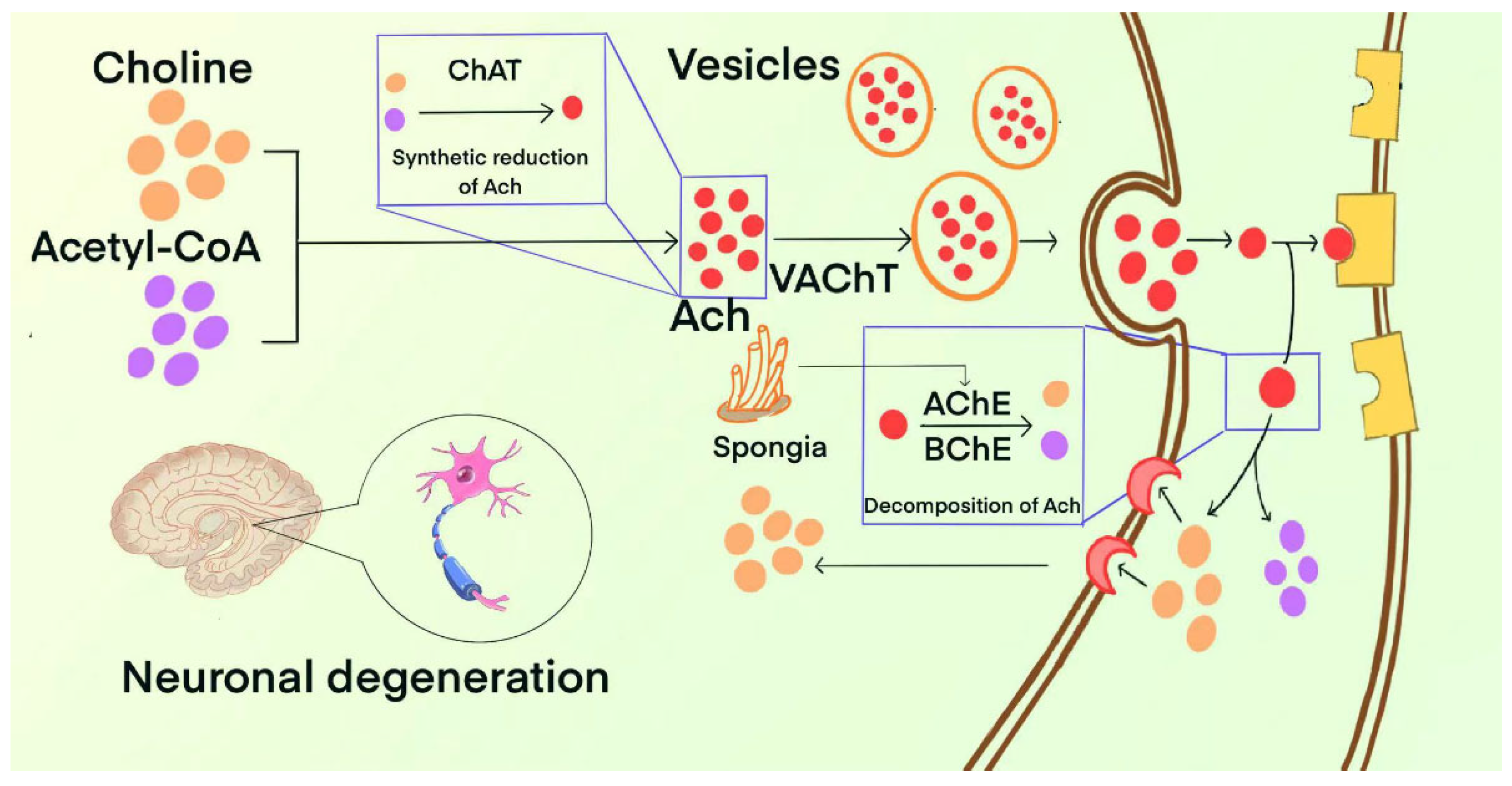 Marinedrugs 23 00091 g002