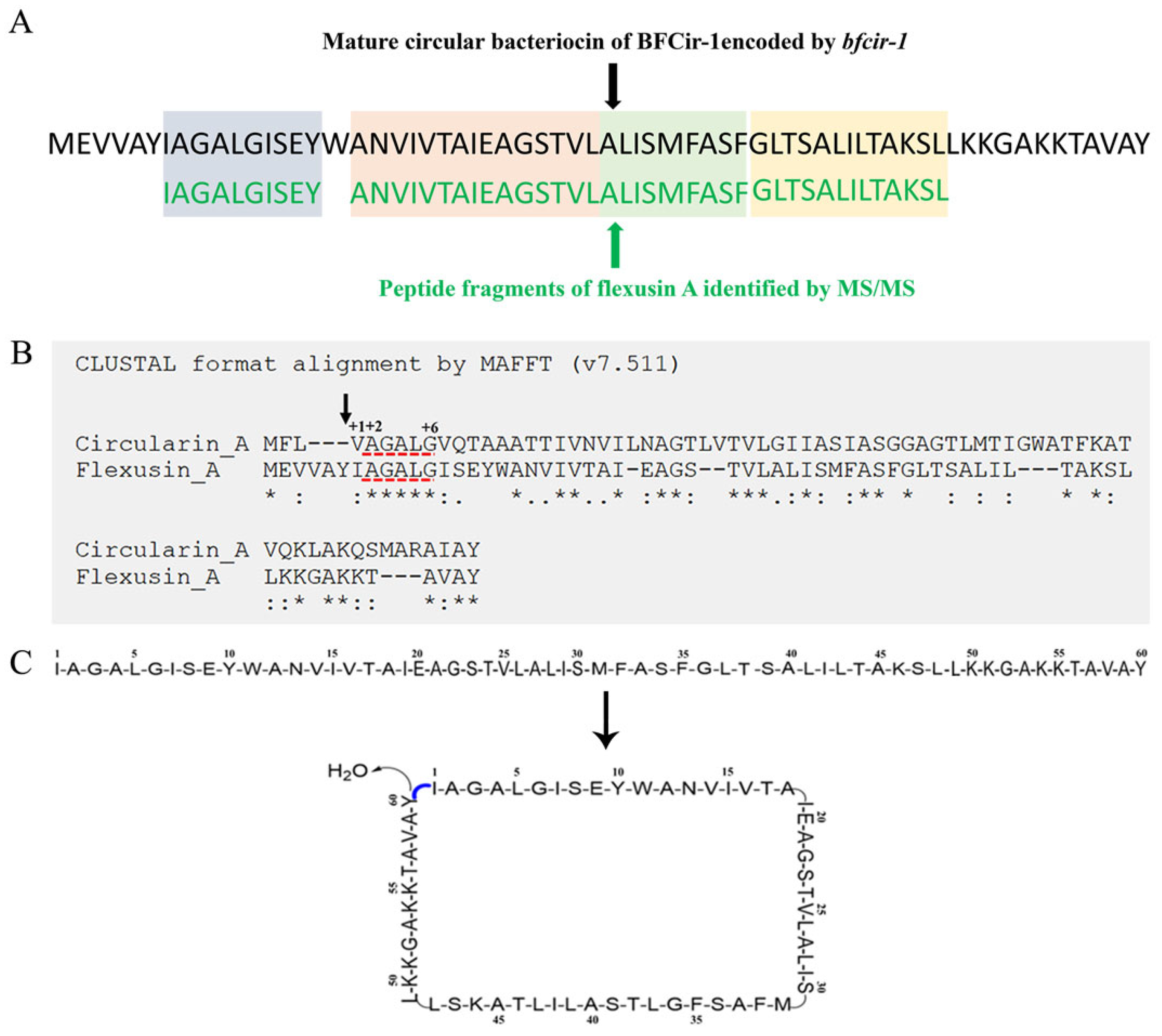 Marinedrugs 23 00095 g006