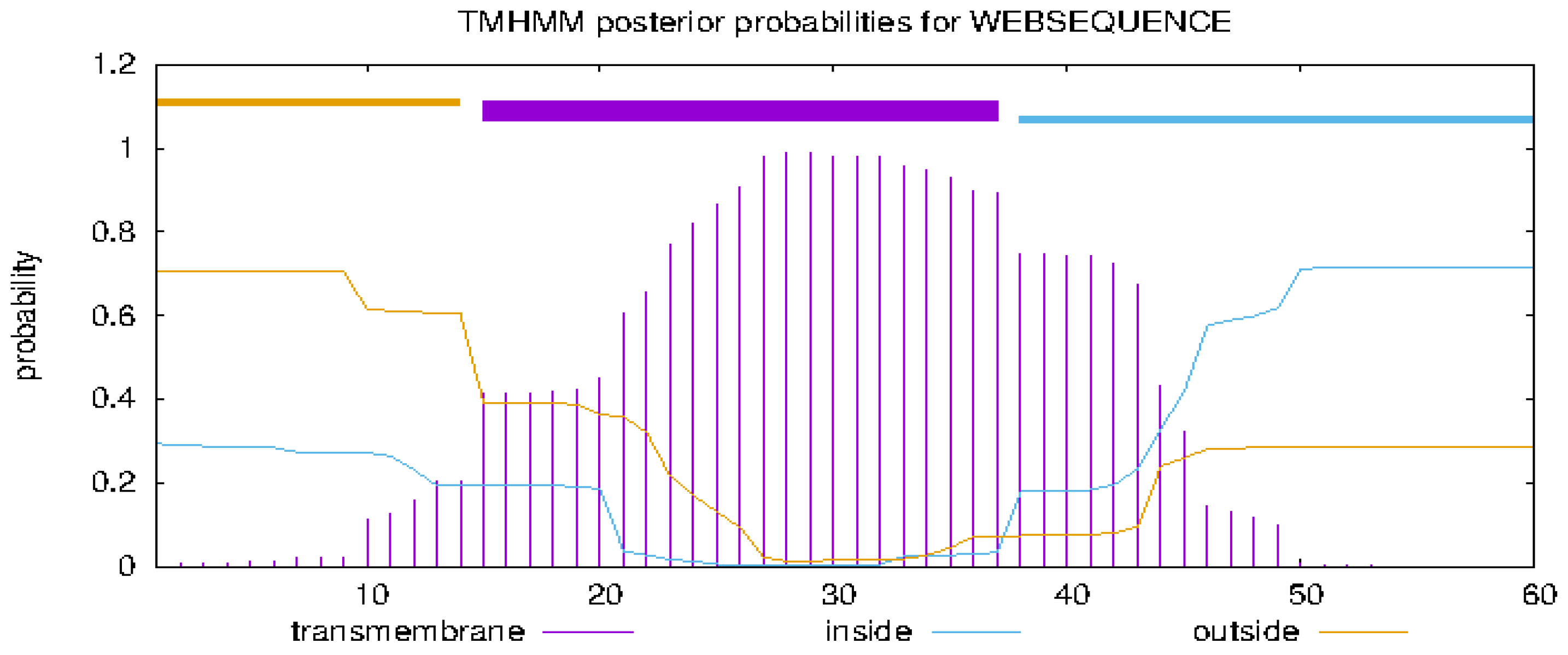 Marinedrugs 23 00095 g008