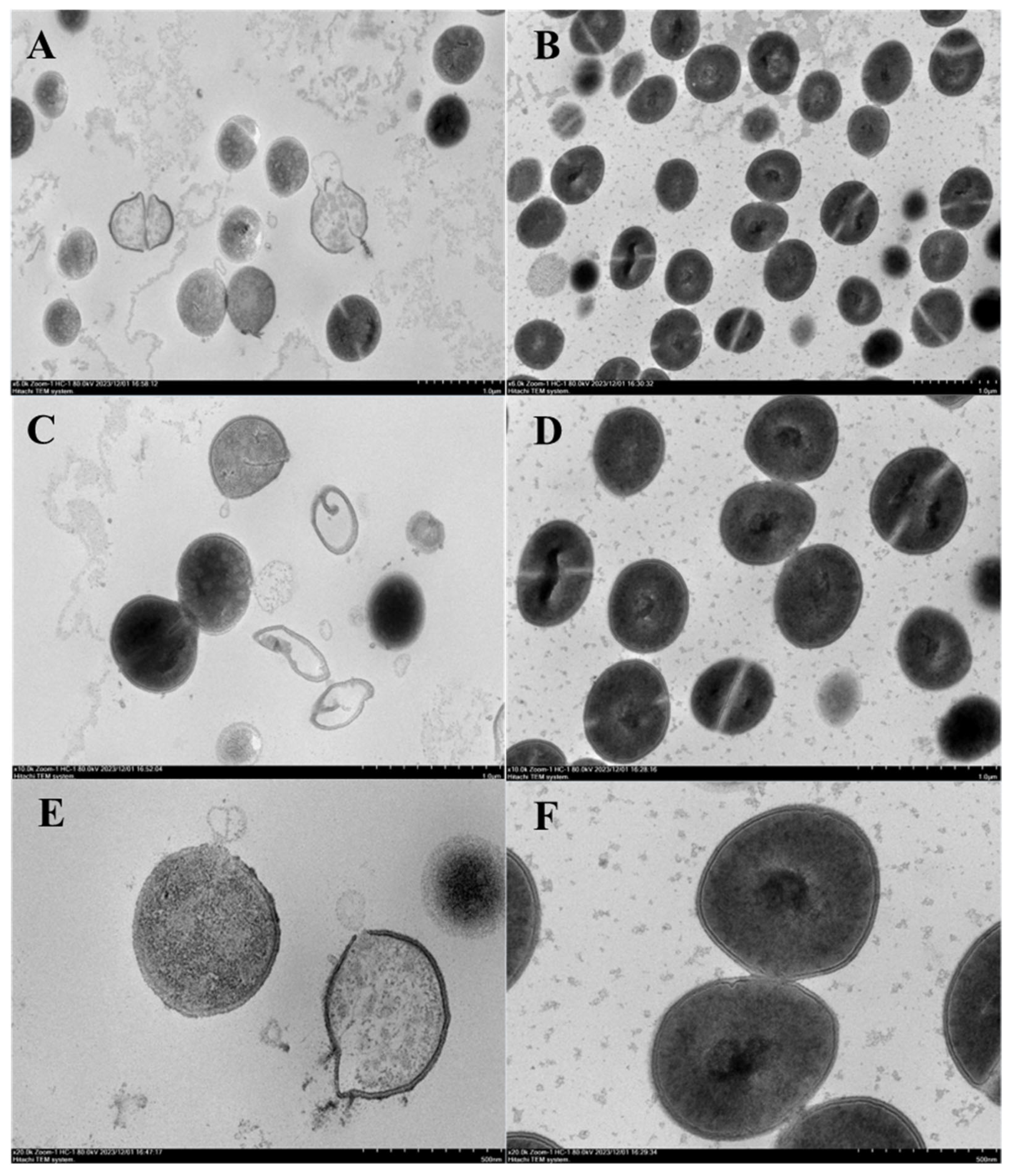 Marinedrugs 23 00095 g010