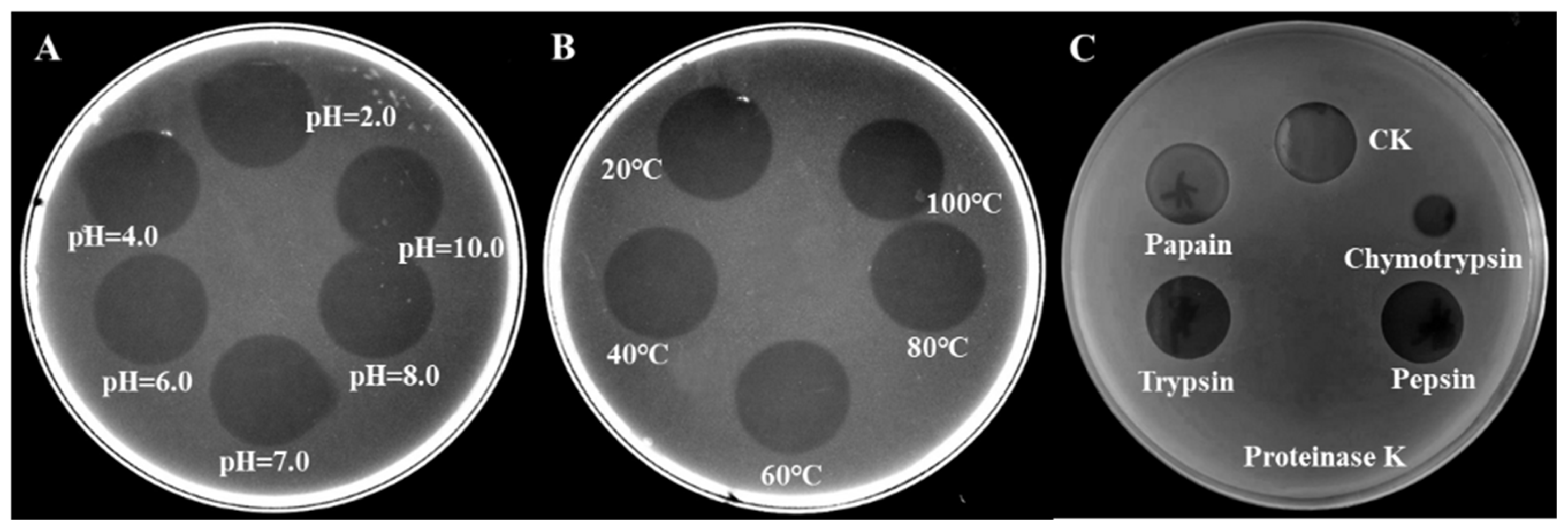 Marinedrugs 23 00095 g011