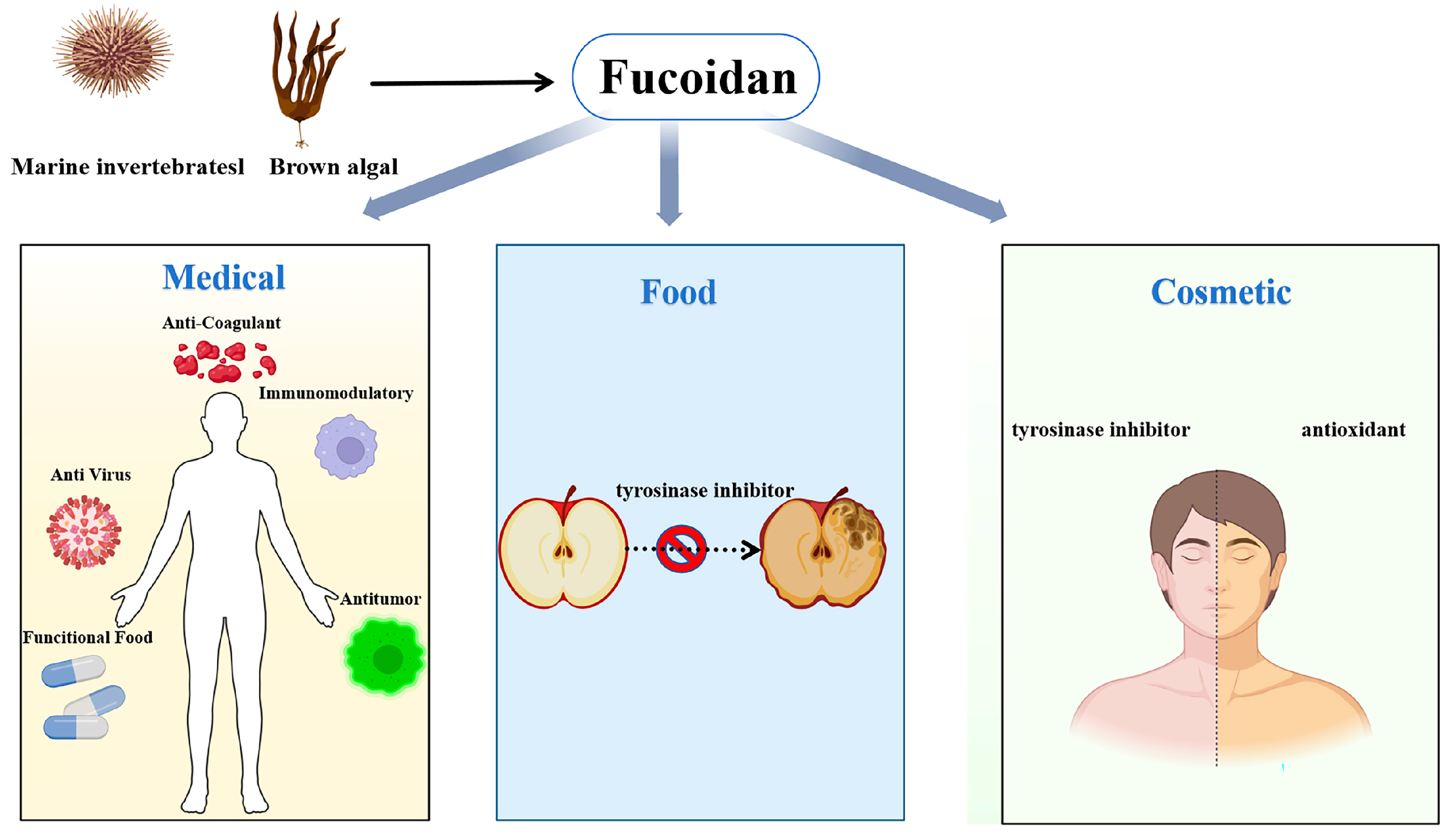 Marinedrugs 23 00097 g002