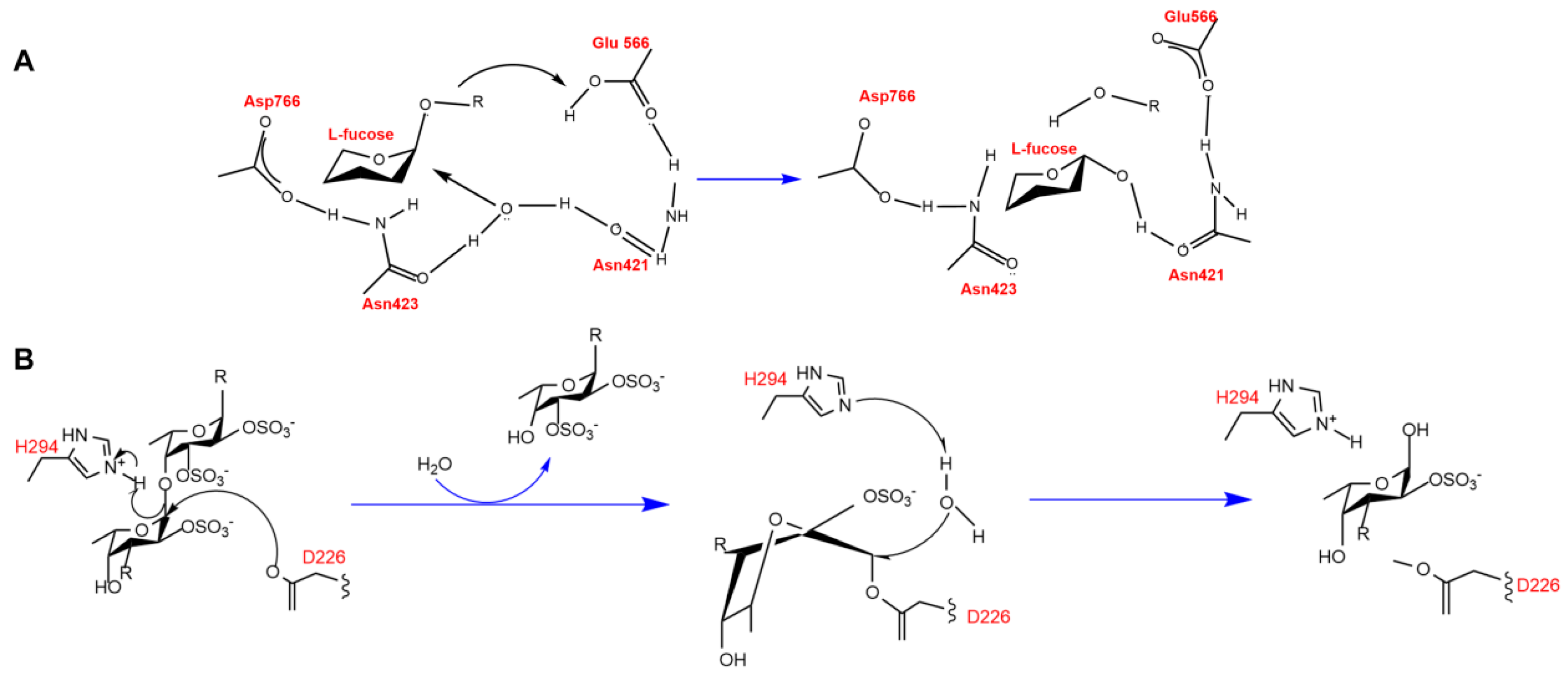 Marinedrugs 23 00097 g005