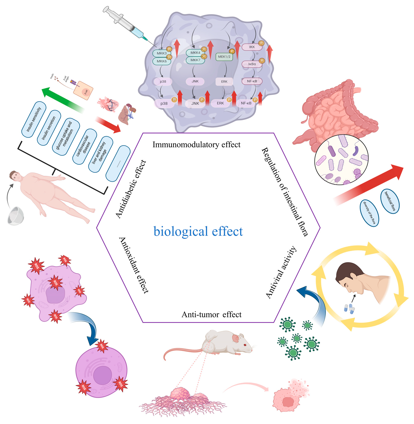 Marinedrugs 23 00098 g005