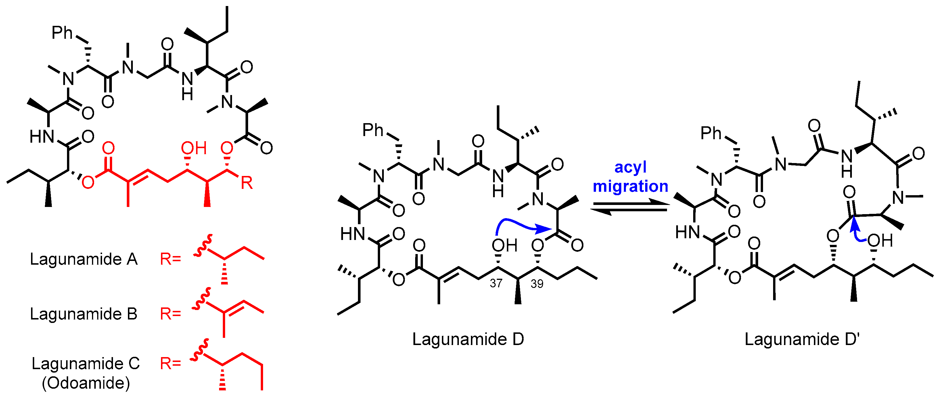 Marinedrugs 23 00099 g001