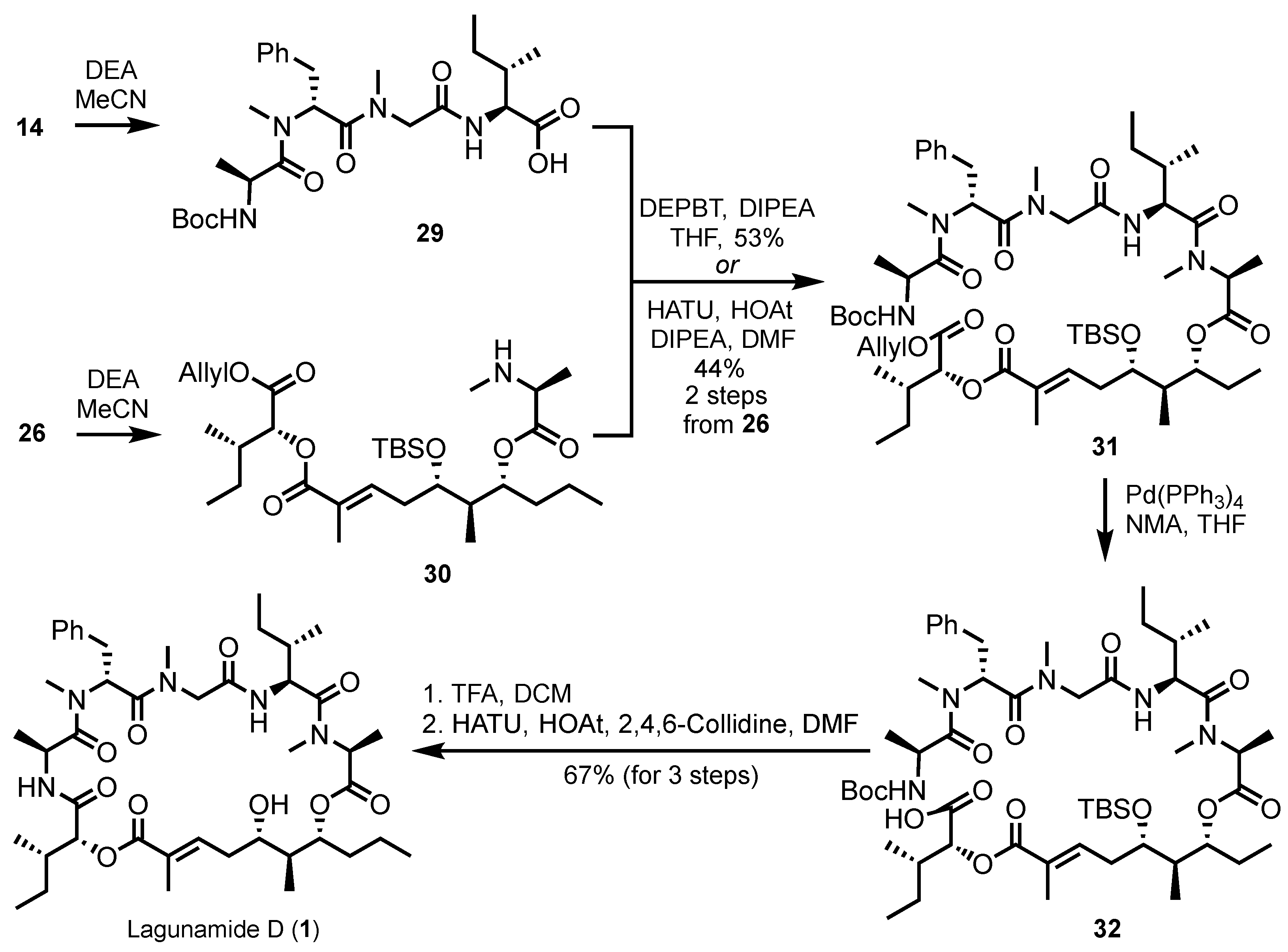 Marinedrugs 23 00099 sch005