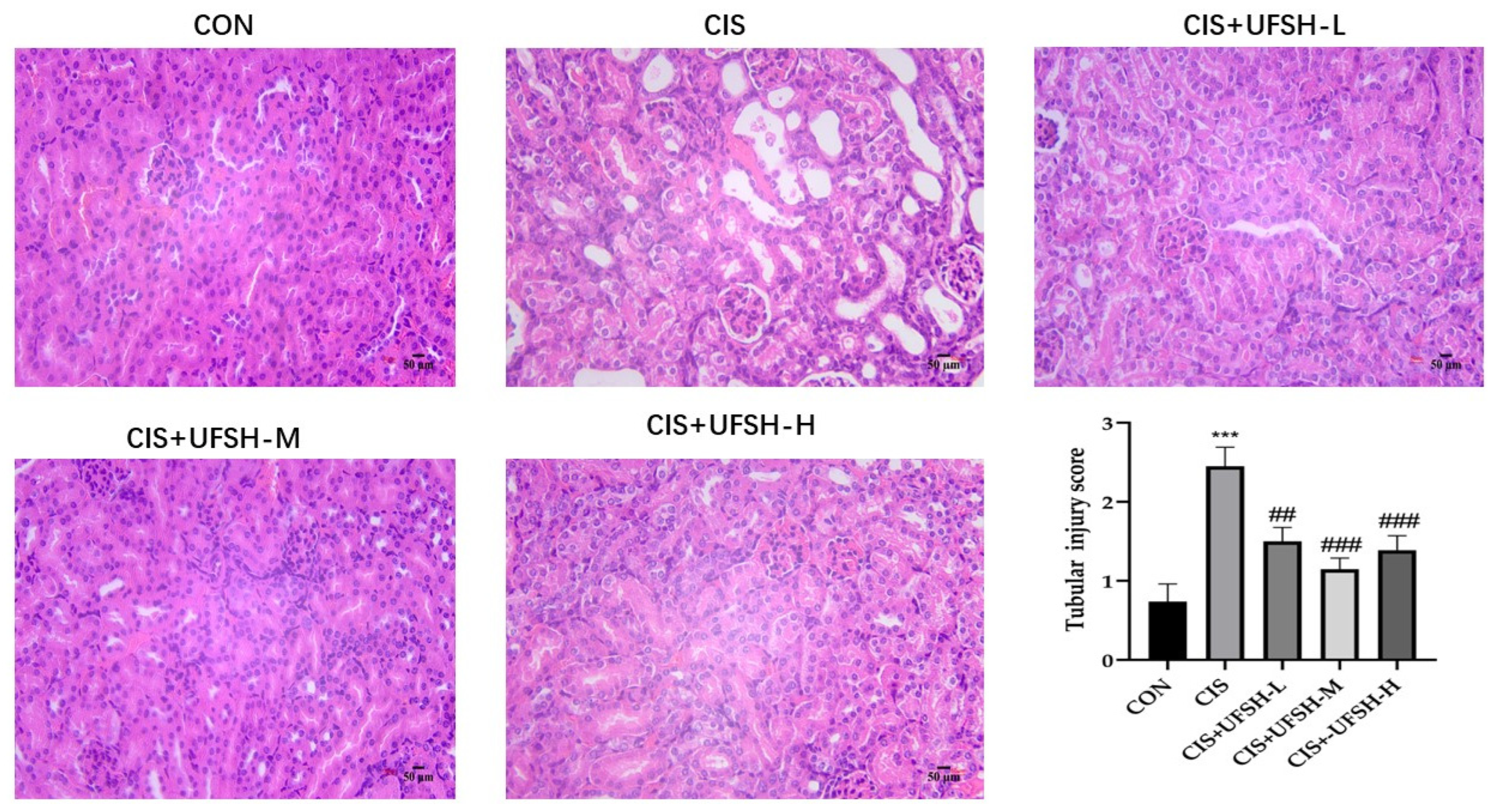 Marinedrugs 23 00100 g004