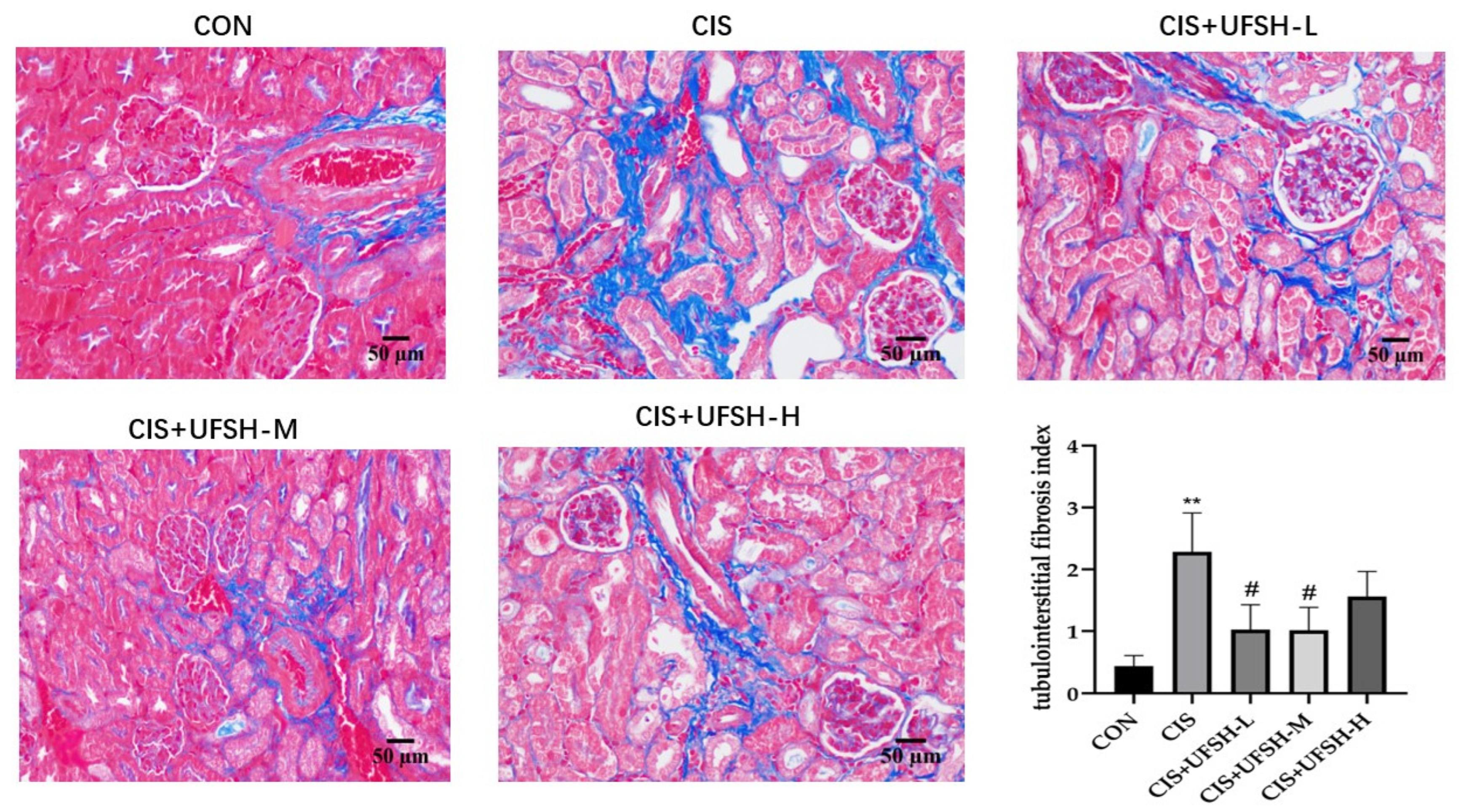 Marinedrugs 23 00100 g005